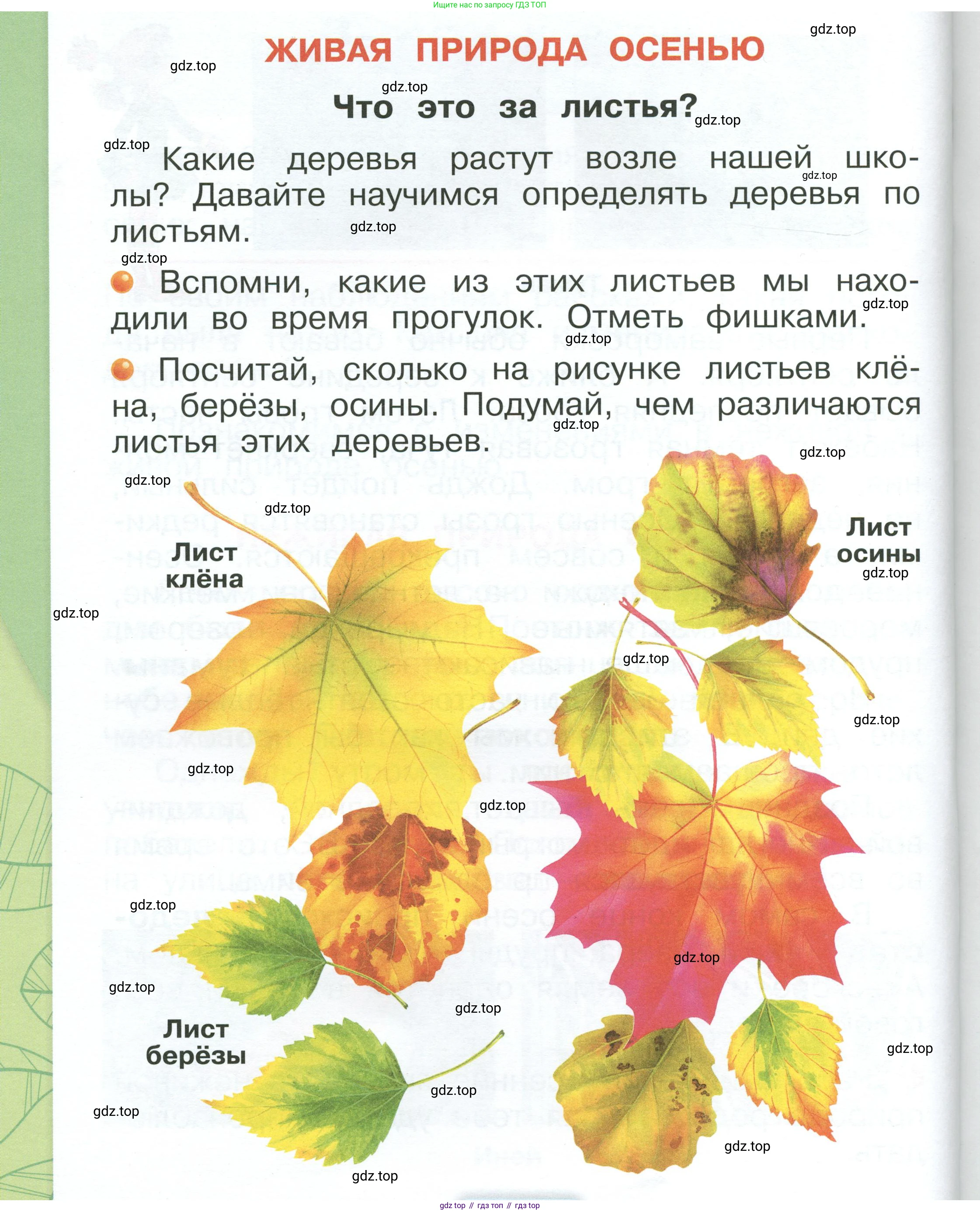 ГДЗ Окружающий мир, 1 класс Учебник, автор: Плешаков Андрей Анатольевич, издательство Просвещение, Москва, 2022, белого цвета, Часть 1, страница 64, Условие