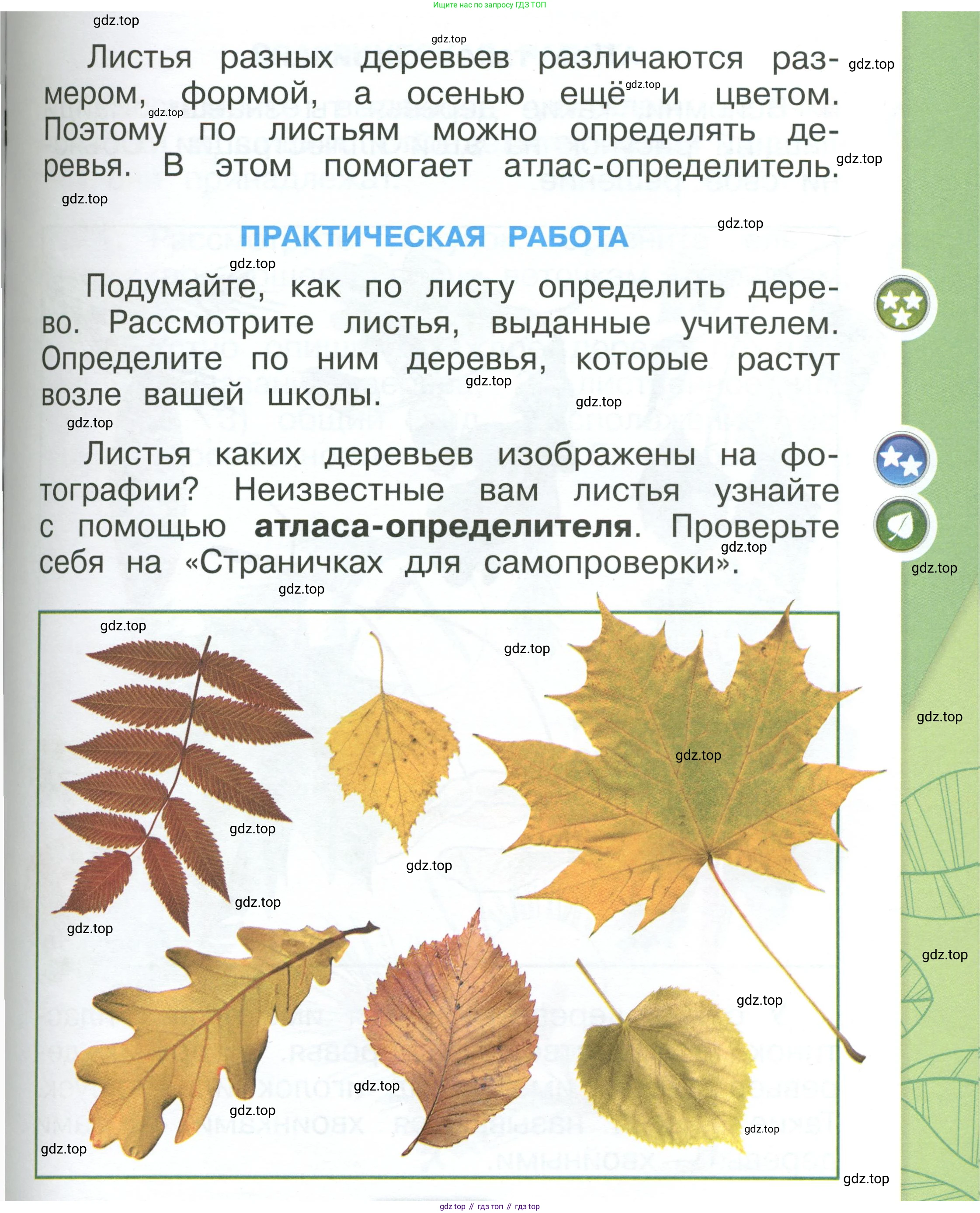 ГДЗ Окружающий мир, 1 класс Учебник, автор: Плешаков Андрей Анатольевич, издательство Просвещение, Москва, 2022, белого цвета, Часть 1, страница 65, Условие