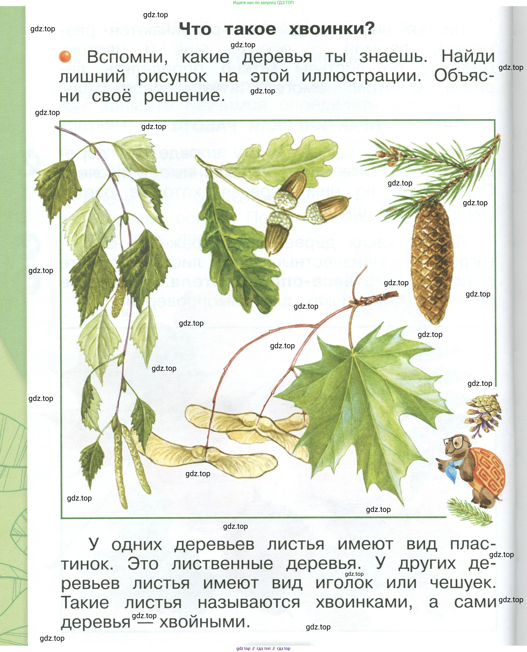 ГДЗ Окружающий мир, 1 класс Учебник, автор: Плешаков Андрей Анатольевич, издательство Просвещение, Москва, 2022, белого цвета, Часть 1, страница 66, Условие