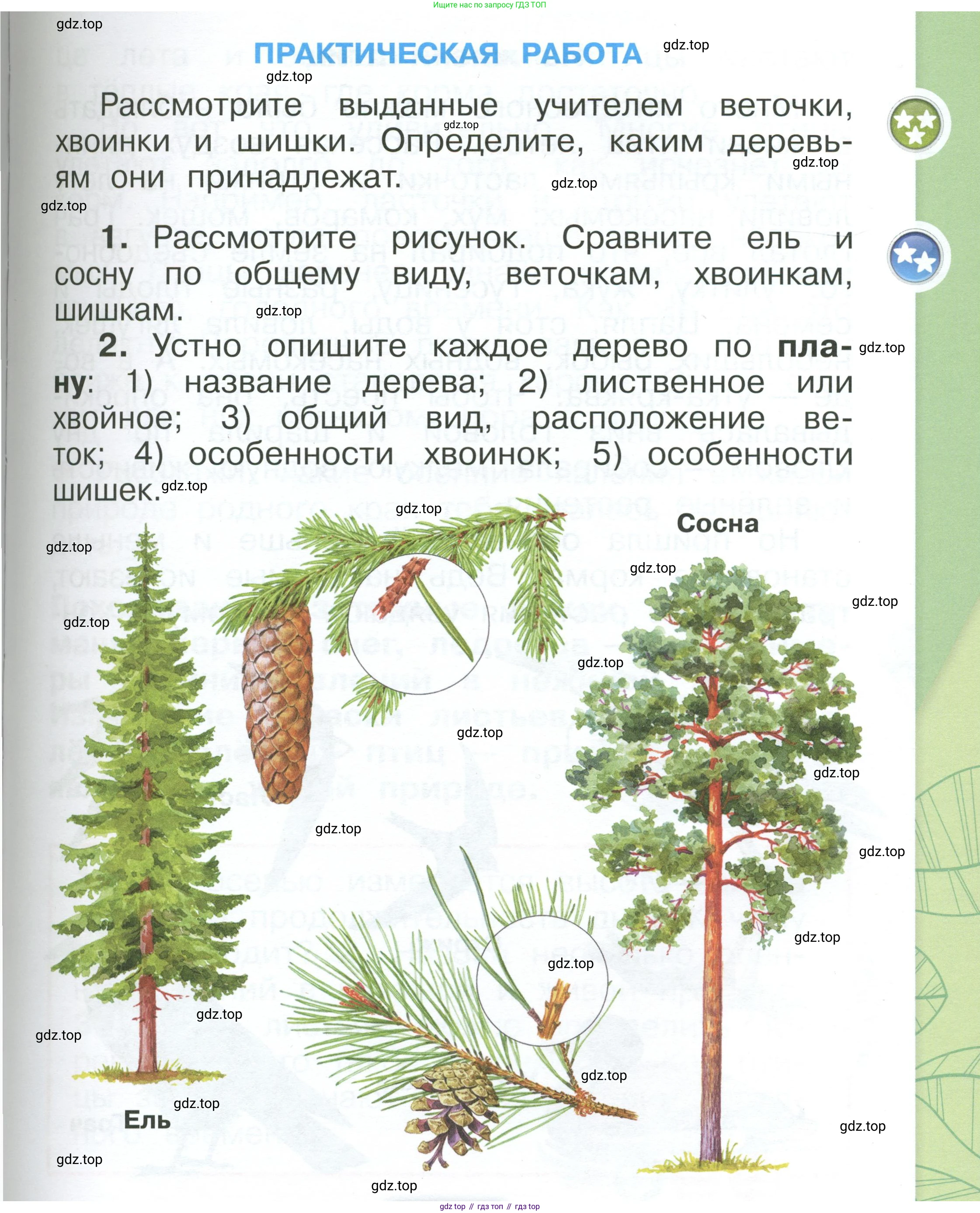 ГДЗ Окружающий мир, 1 класс Учебник, автор: Плешаков Андрей Анатольевич, издательство Просвещение, Москва, 2022, белого цвета, Часть 1, страница 67, Условие