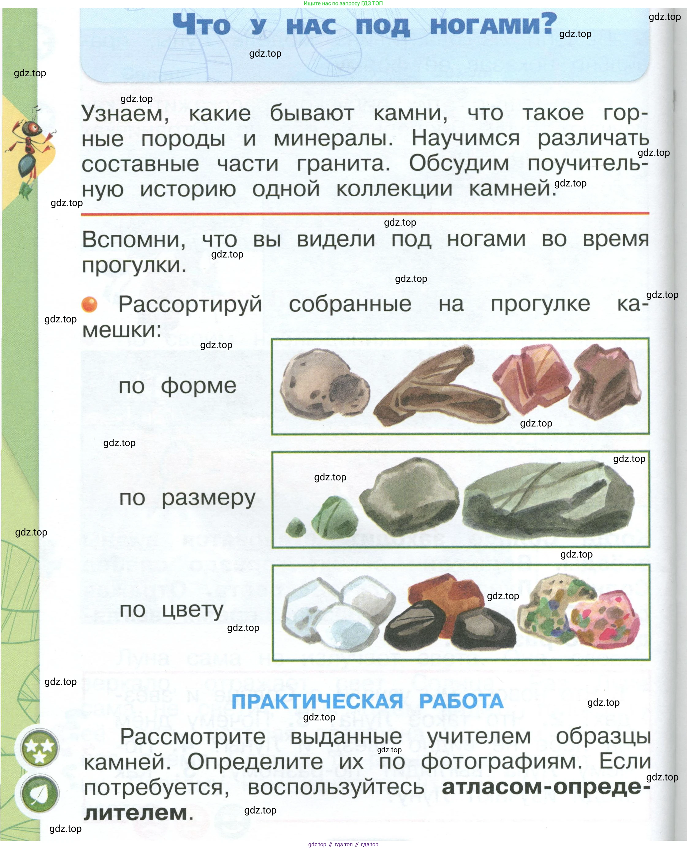 ГДЗ Окружающий мир, 1 класс Учебник, автор: Плешаков Андрей Анатольевич, издательство Просвещение, Москва, 2022, белого цвета, Часть 1, страница 80, Условие