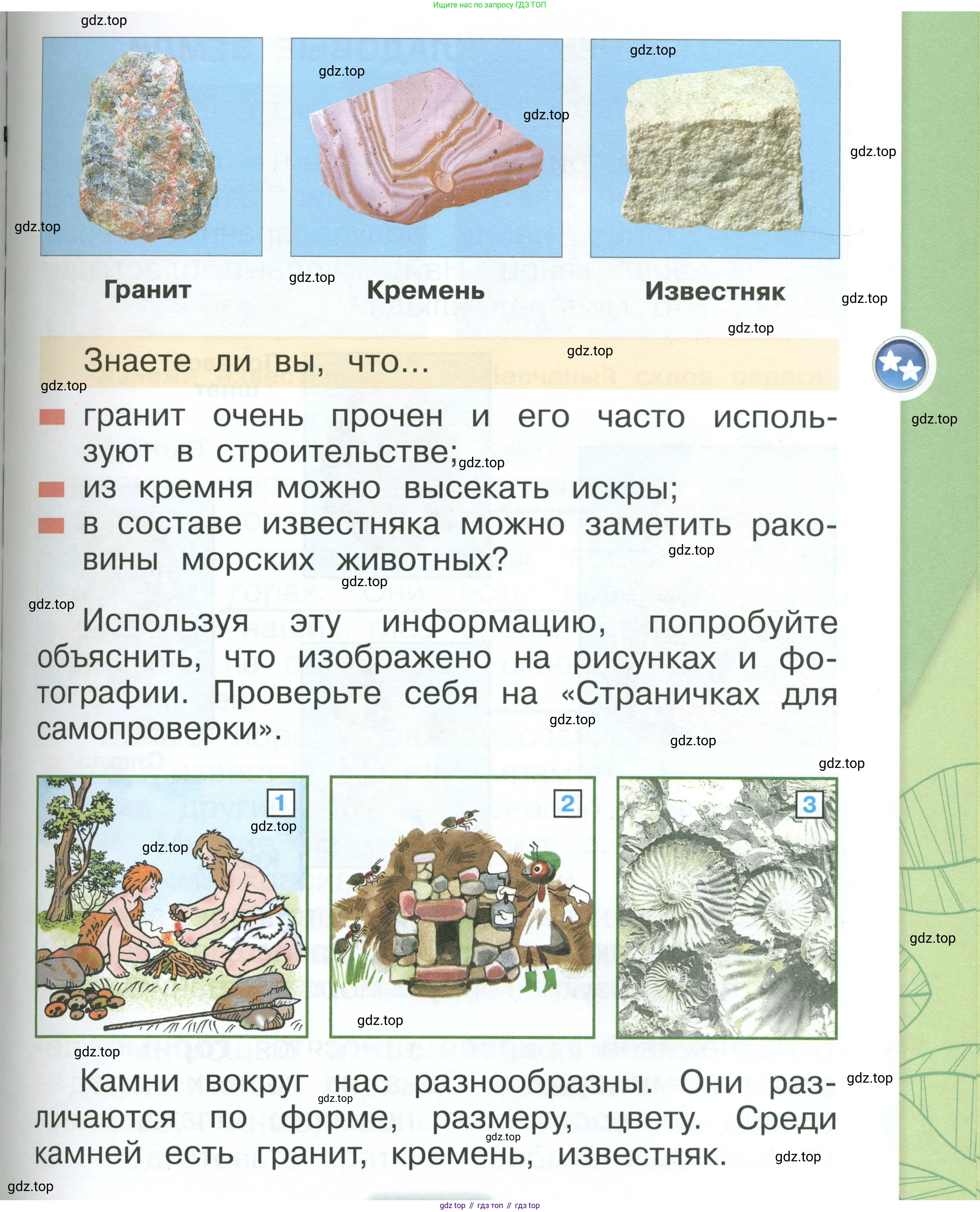 ГДЗ Окружающий мир, 1 класс Учебник, автор: Плешаков Андрей Анатольевич, издательство Просвещение, Москва, 2022, белого цвета, Часть 1, страница 81, Условие