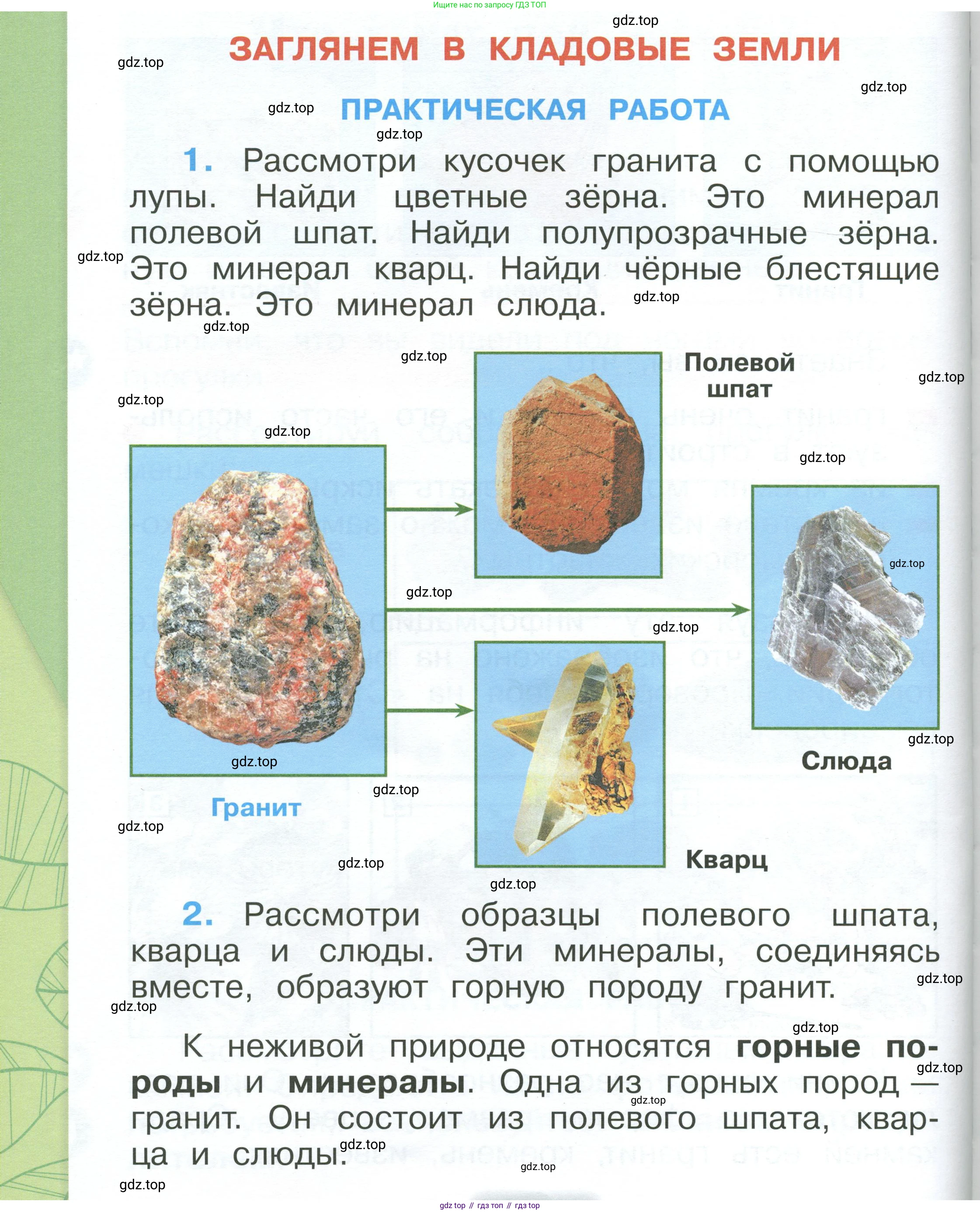 ГДЗ Окружающий мир, 1 класс Учебник, автор: Плешаков Андрей Анатольевич, издательство Просвещение, Москва, 2022, белого цвета, Часть 1, страница 82, Условие