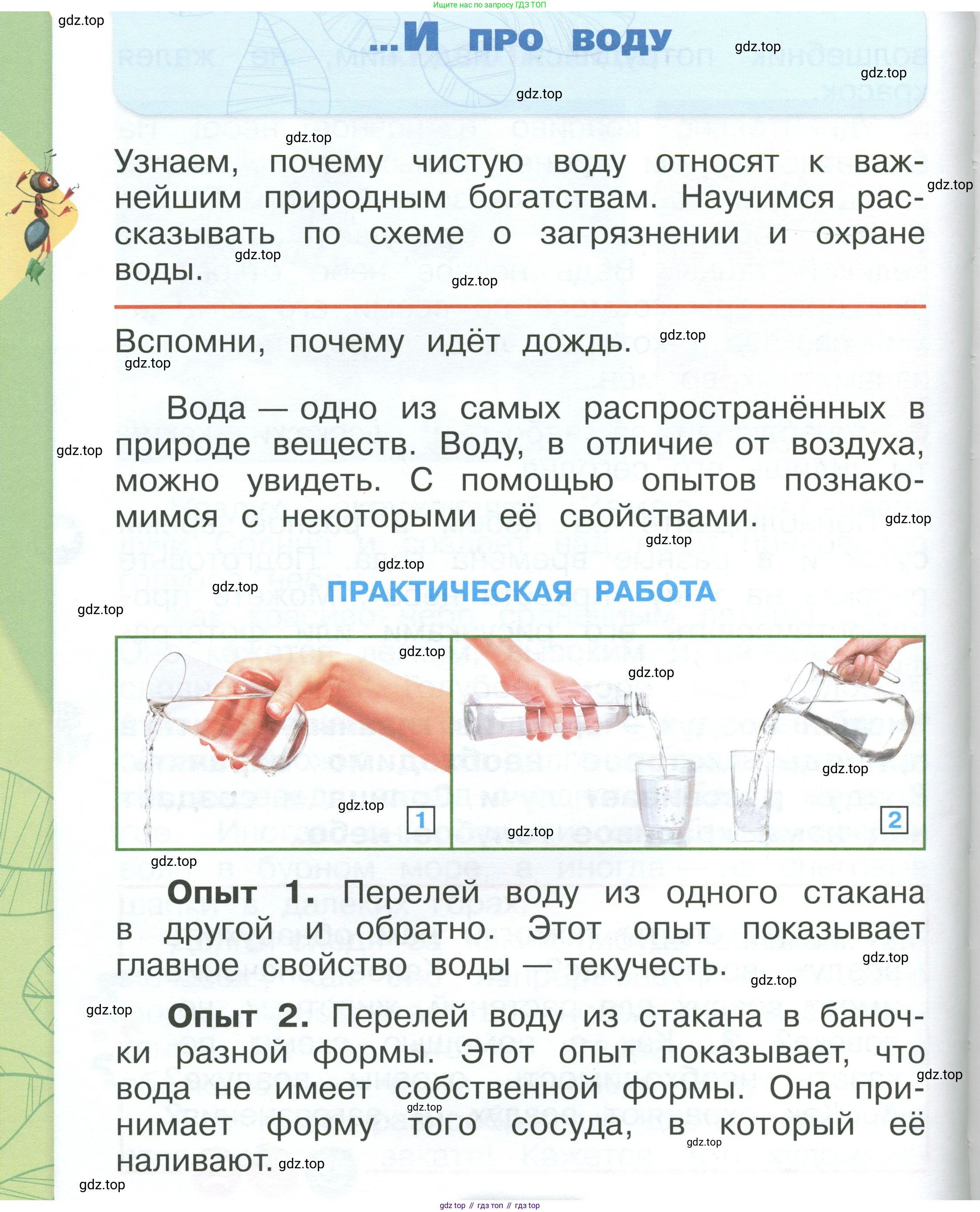 ГДЗ Окружающий мир, 1 класс Учебник, автор: Плешаков Андрей Анатольевич, издательство Просвещение, Москва, 2022, белого цвета, Часть 1, страница 90, Условие