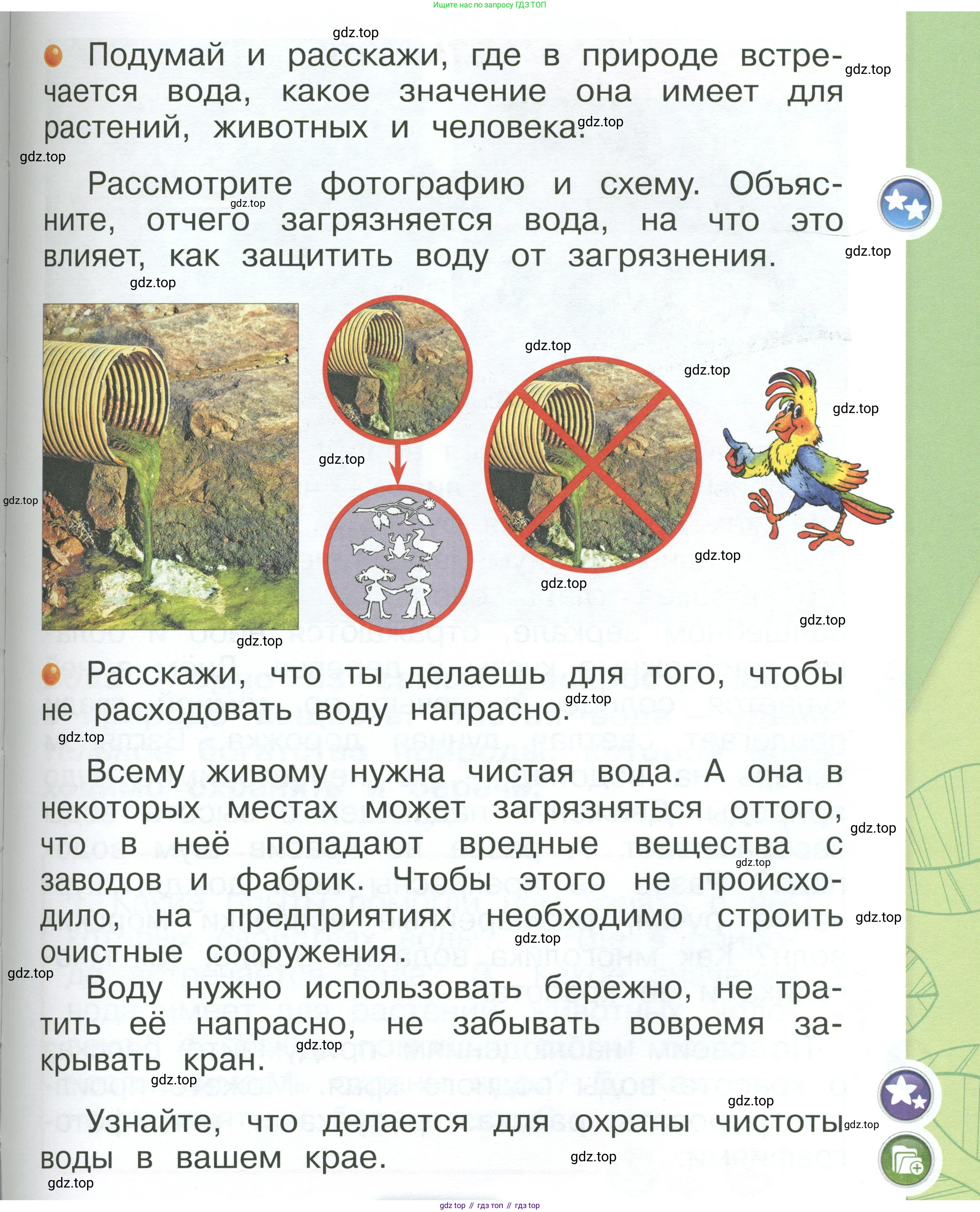 ГДЗ Окружающий мир, 1 класс Учебник, автор: Плешаков Андрей Анатольевич, издательство Просвещение, Москва, 2022, белого цвета, Часть 1, страница 91, Условие