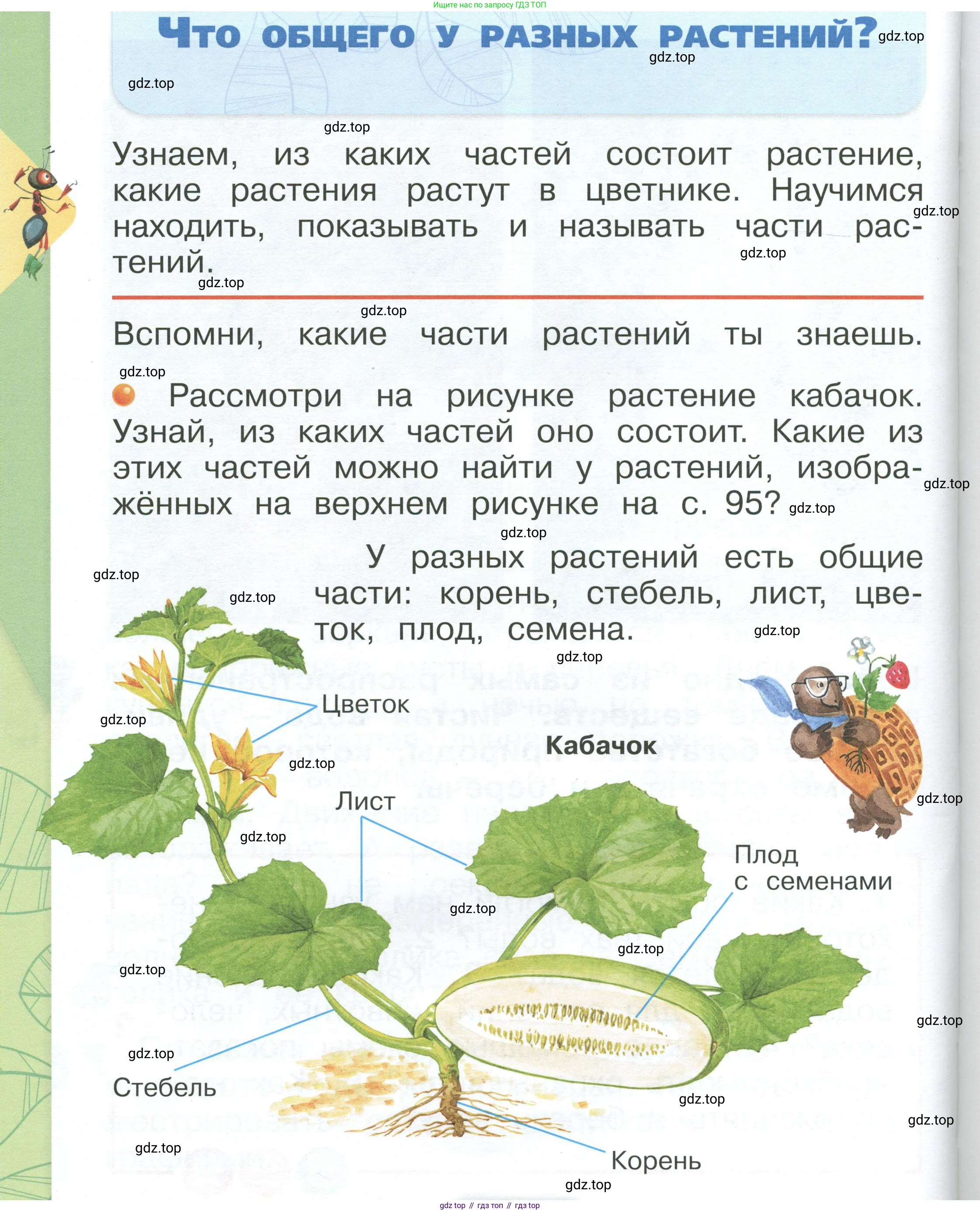 ГДЗ Окружающий мир, 1 класс Учебник, автор: Плешаков Андрей Анатольевич, издательство Просвещение, Москва, 2022, белого цвета, Часть 1, страница 94, Условие