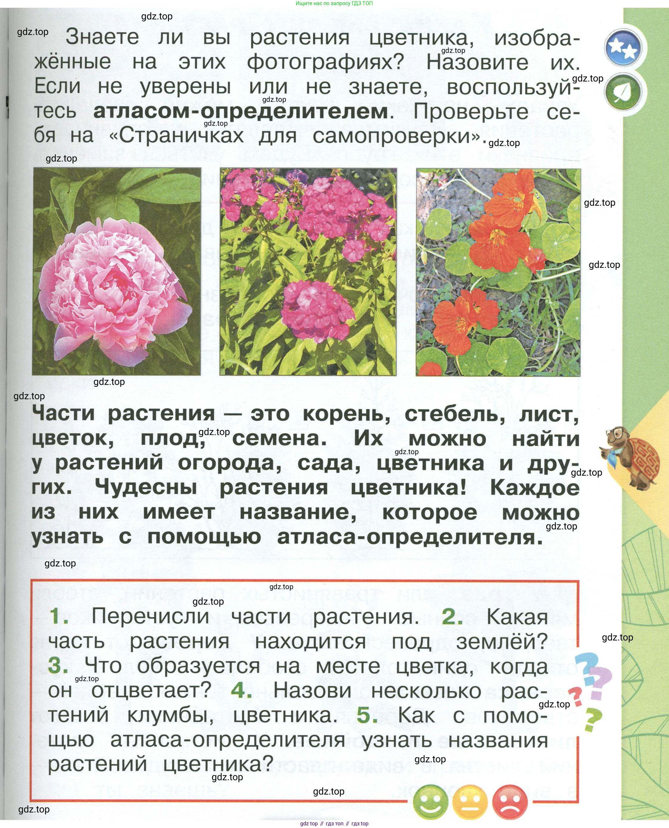 ГДЗ Окружающий мир, 1 класс Учебник, автор: Плешаков Андрей Анатольевич, издательство Просвещение, Москва, 2022, белого цвета, Часть 1, страница 97, Условие
