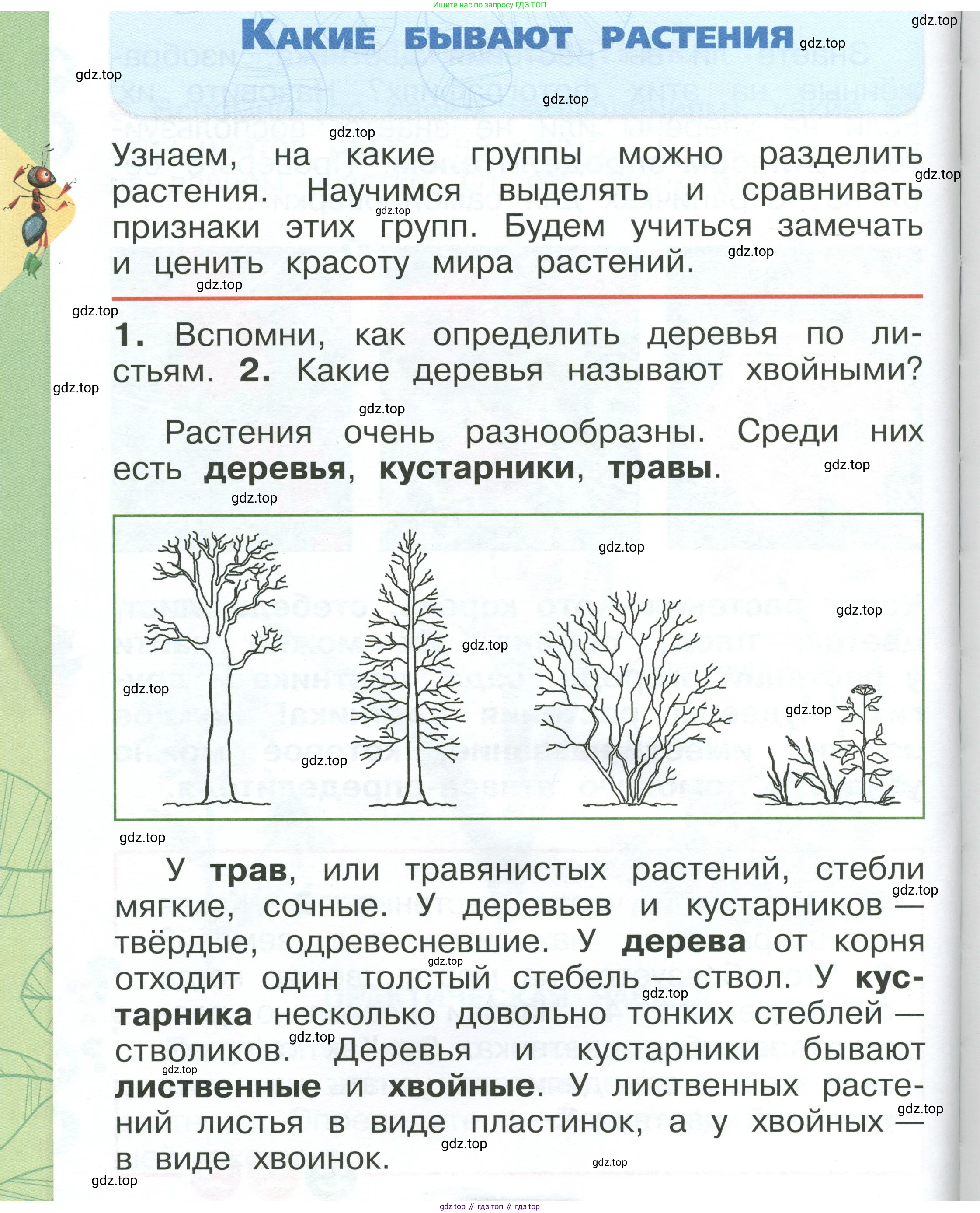 ГДЗ Окружающий мир, 1 класс Учебник, автор: Плешаков Андрей Анатольевич, издательство Просвещение, Москва, 2022, белого цвета, Часть 1, страница 98, Условие