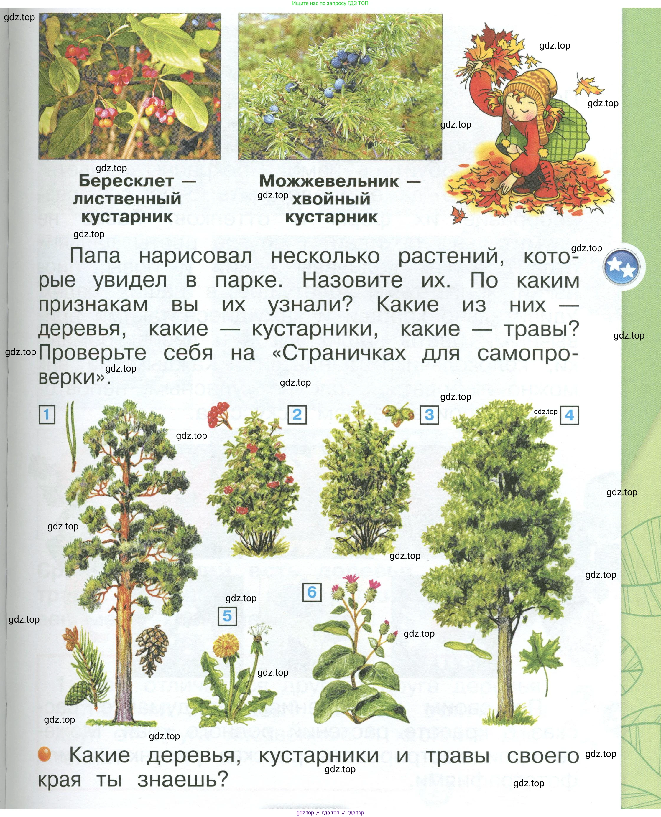 ГДЗ Окружающий мир, 1 класс Учебник, автор: Плешаков Андрей Анатольевич, издательство Просвещение, Москва, 2022, белого цвета, Часть 1, страница 99, Условие