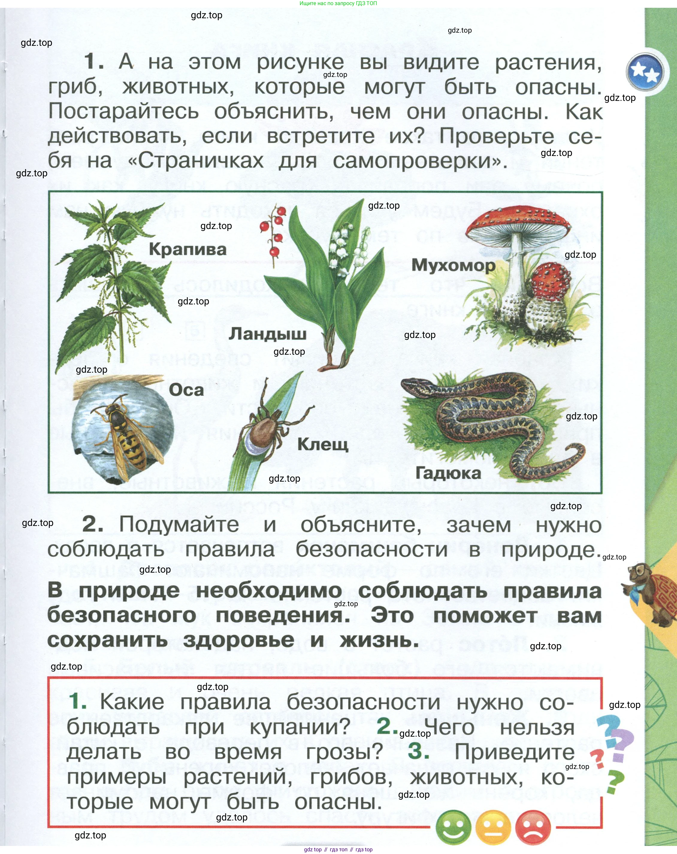 ГДЗ Окружающий мир, 1 класс Учебник, автор: Плешаков Андрей Анатольевич, издательство Просвещение, Москва, 2022, белого цвета, Часть 2, страница 11, Условие