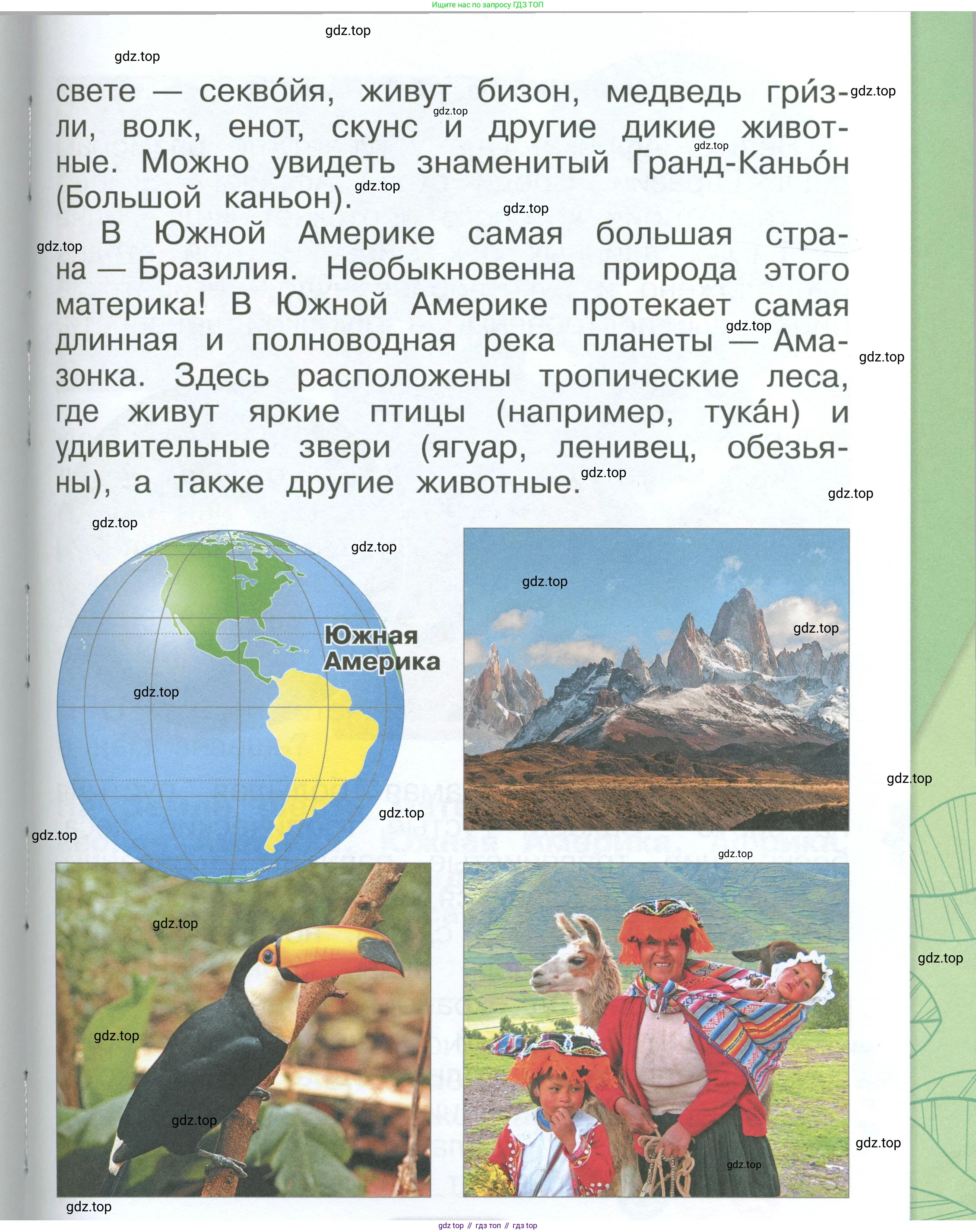 ГДЗ Окружающий мир, 1 класс Учебник, автор: Плешаков Андрей Анатольевич, издательство Просвещение, Москва, 2022, белого цвета, Часть 2, страница 113, Условие