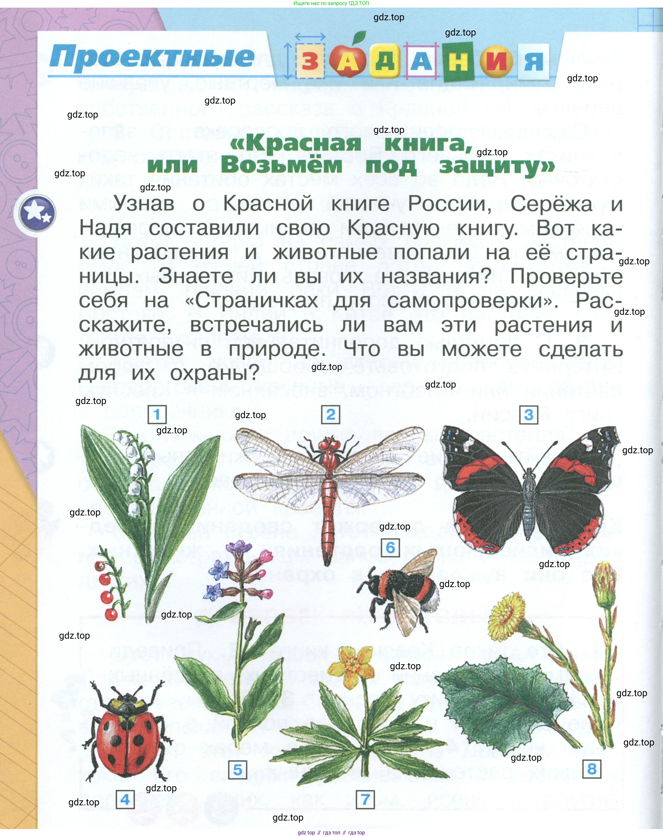 ГДЗ Окружающий мир, 1 класс Учебник, автор: Плешаков Андрей Анатольевич, издательство Просвещение, Москва, 2022, белого цвета, Часть 2, страница 16, Условие