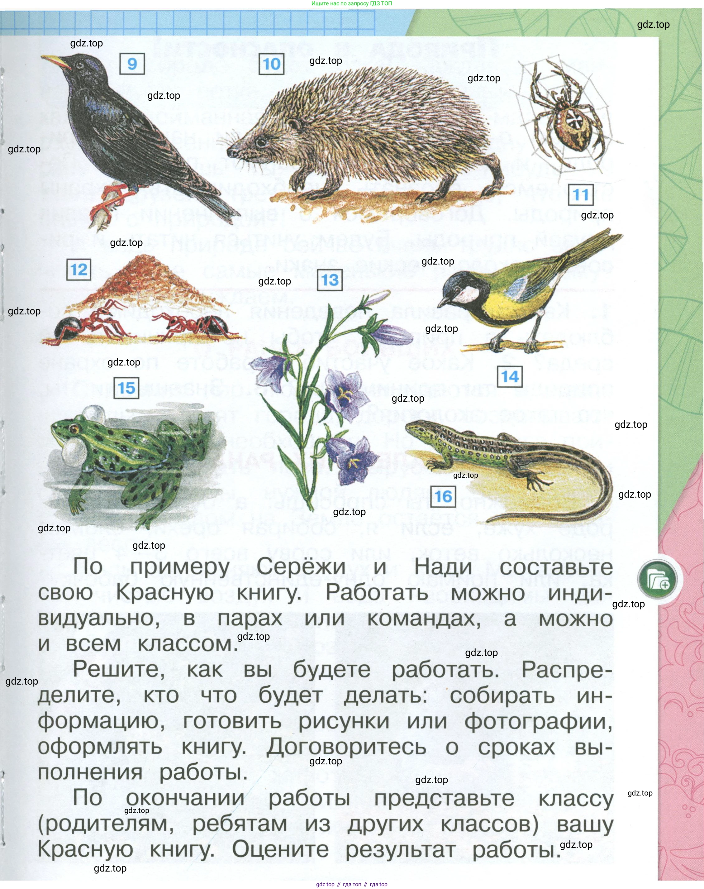 ГДЗ Окружающий мир, 1 класс Учебник, автор: Плешаков Андрей Анатольевич, издательство Просвещение, Москва, 2022, белого цвета, Часть 2, страница 17, Условие