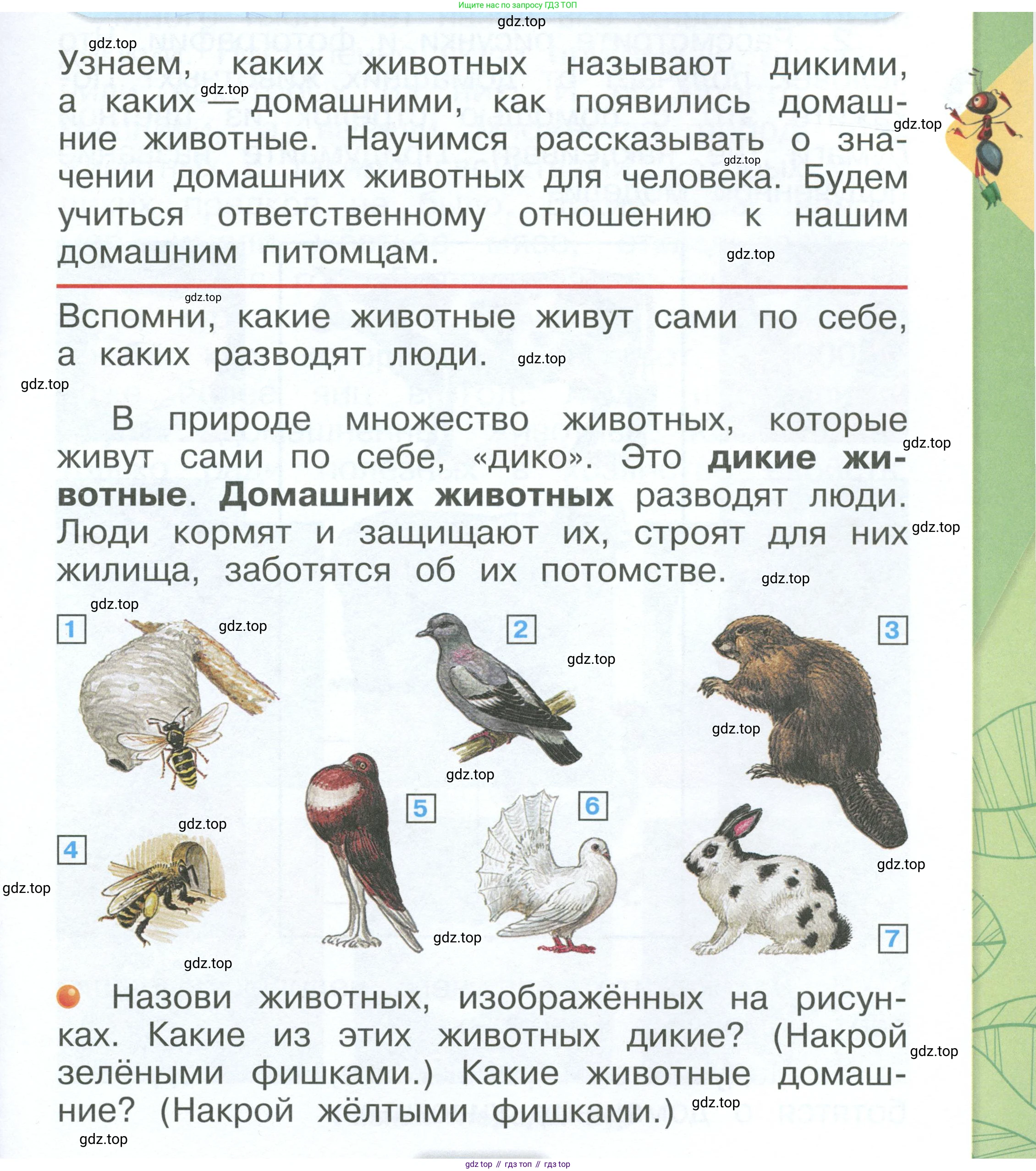 ГДЗ Окружающий мир, 1 класс Учебник, автор: Плешаков Андрей Анатольевич, издательство Просвещение, Москва, 2022, белого цвета, Часть 2, страница 3, Условие