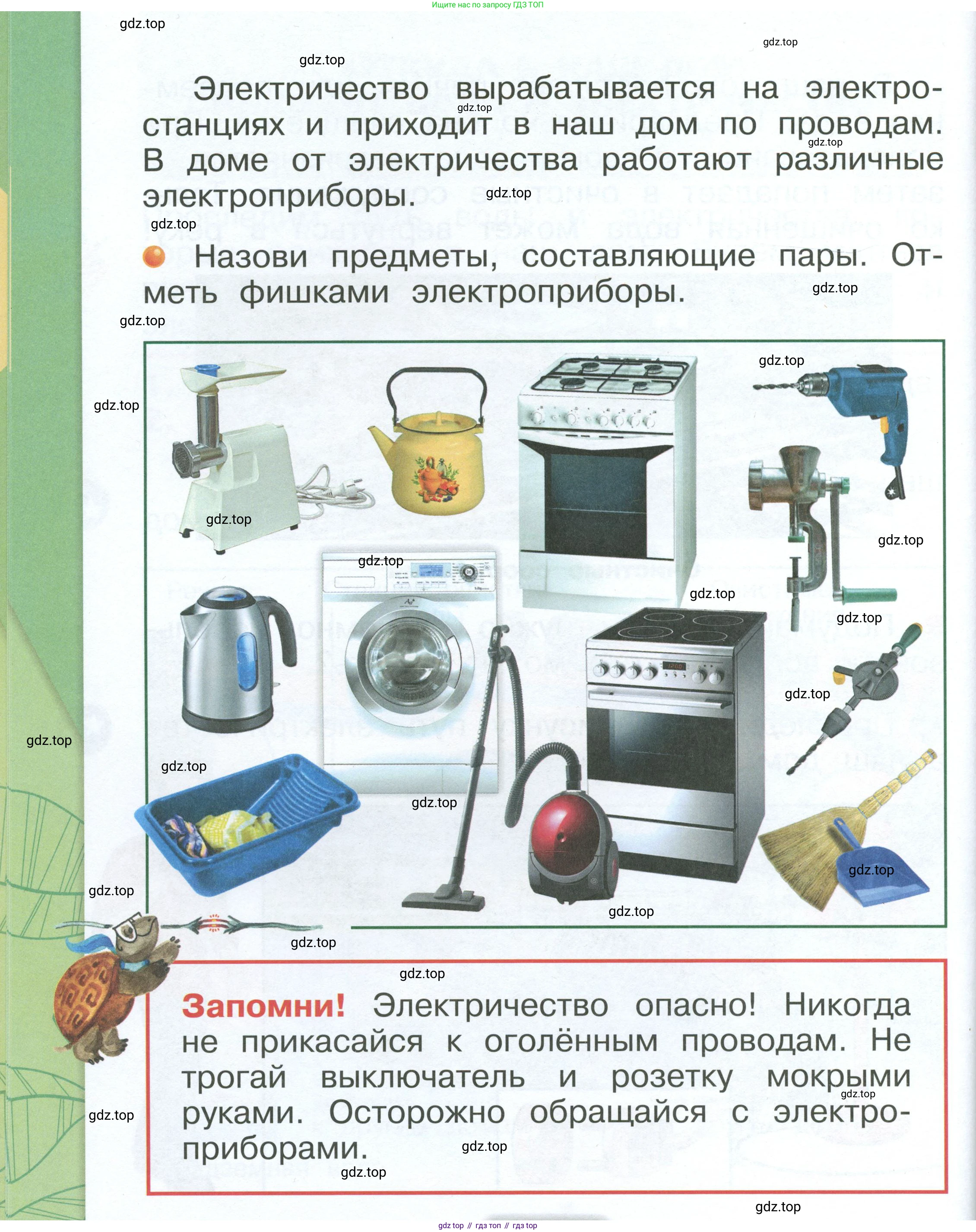 ГДЗ Окружающий мир, 1 класс Учебник, автор: Плешаков Андрей Анатольевич, издательство Просвещение, Москва, 2022, белого цвета, Часть 2, страница 38, Условие