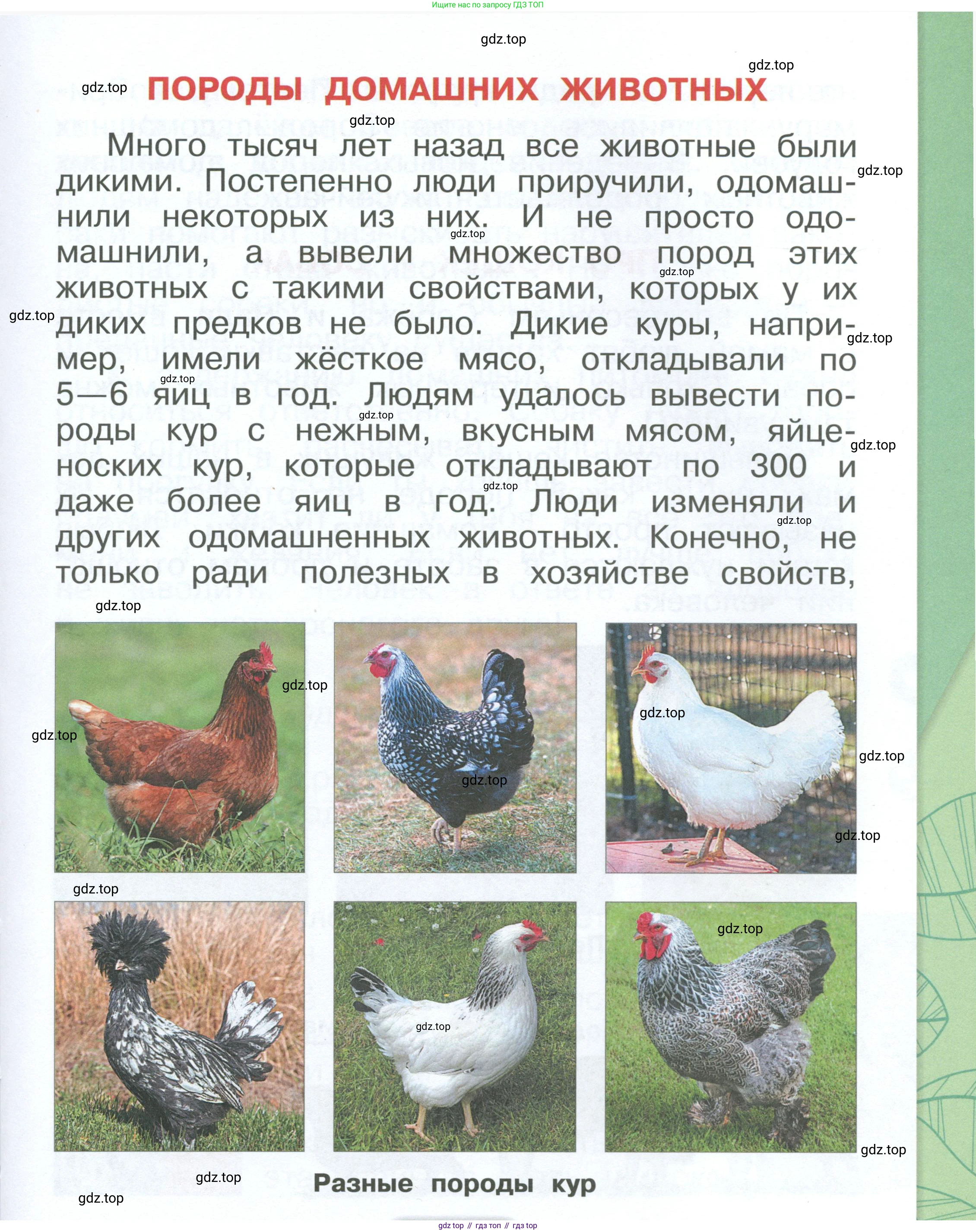 ГДЗ Окружающий мир, 1 класс Учебник, автор: Плешаков Андрей Анатольевич, издательство Просвещение, Москва, 2022, белого цвета, Часть 2, страница 5, Условие