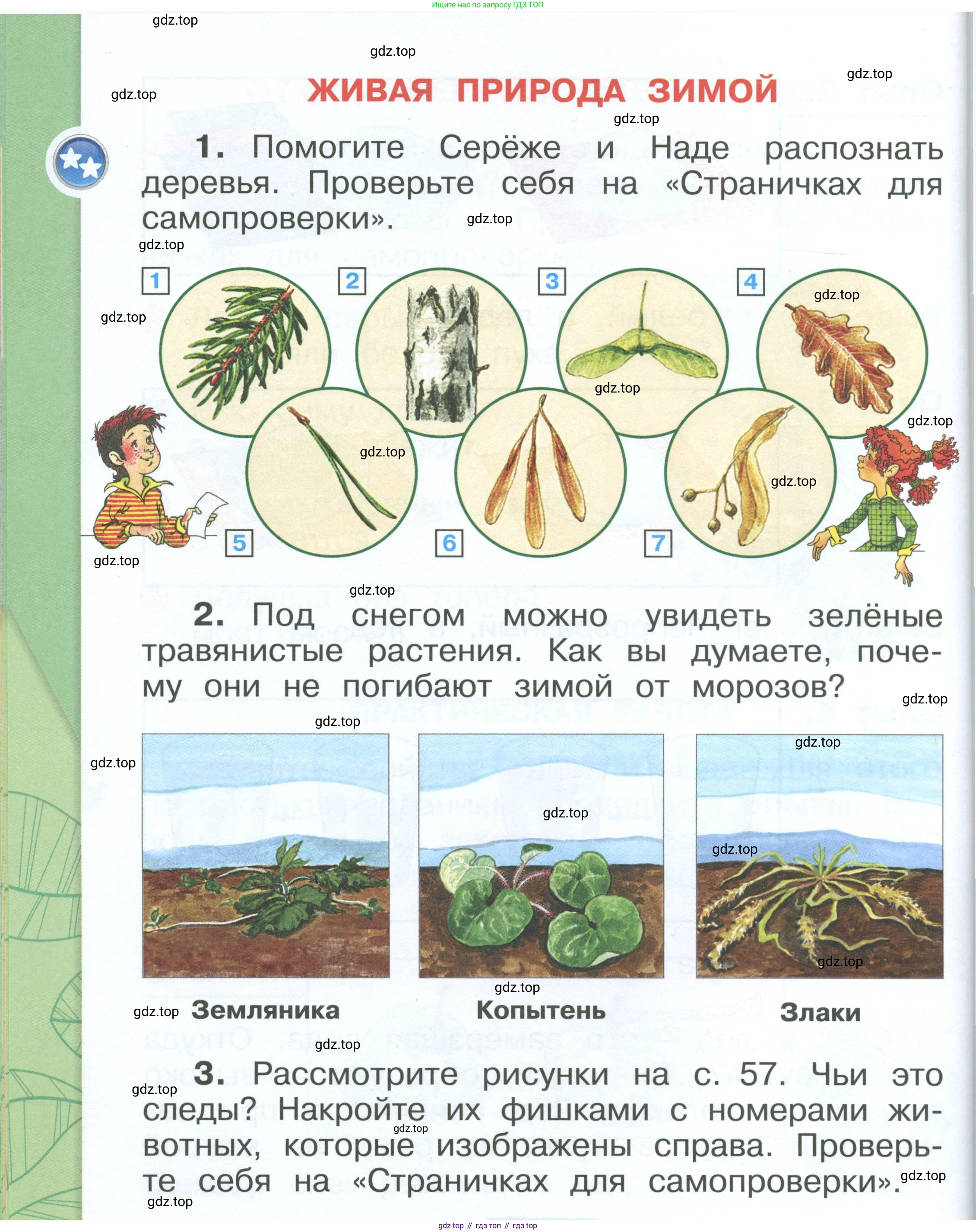 ГДЗ Окружающий мир, 1 класс Учебник, автор: Плешаков Андрей Анатольевич, издательство Просвещение, Москва, 2022, белого цвета, Часть 2, страница 56, Условие