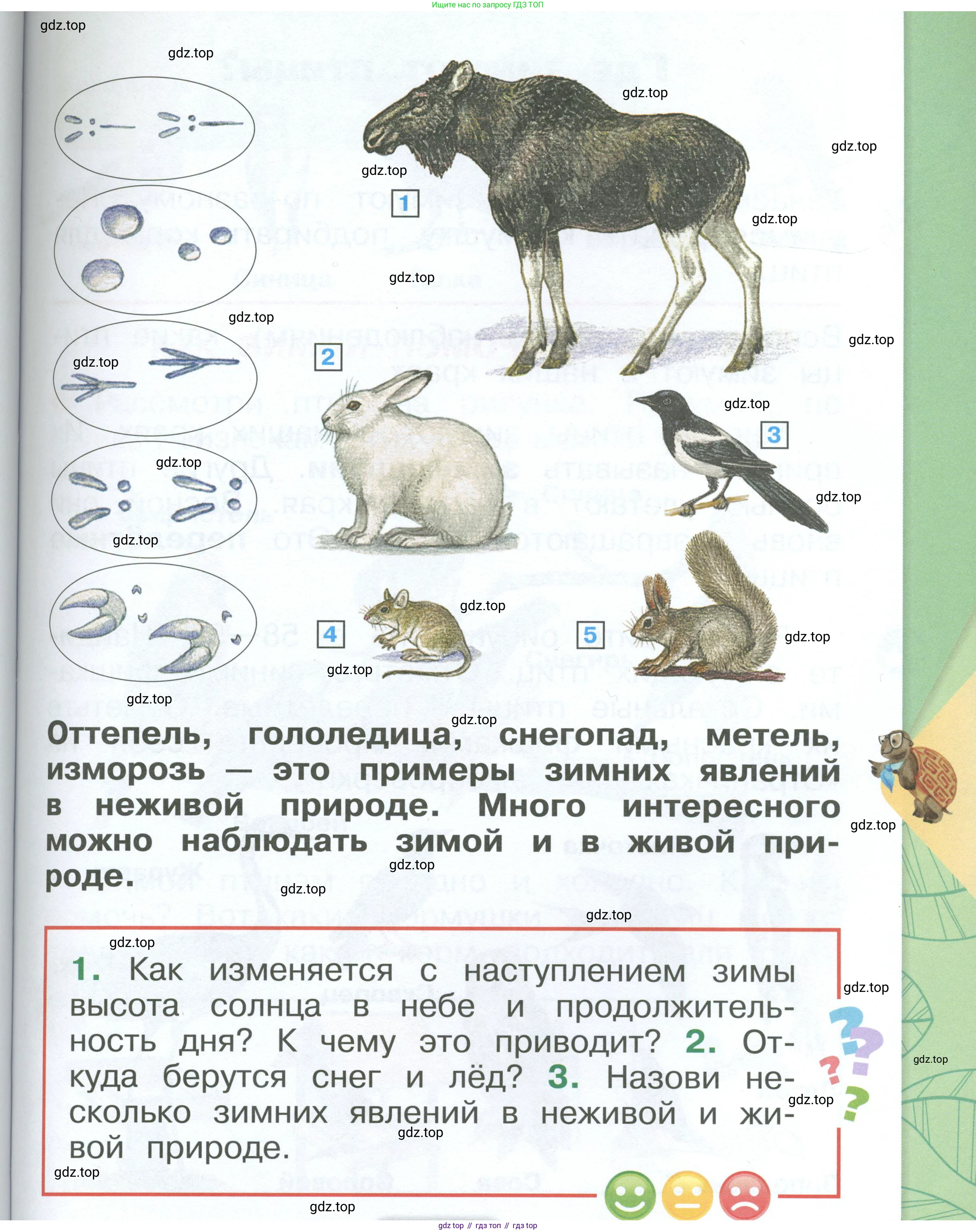 ГДЗ Окружающий мир, 1 класс Учебник, автор: Плешаков Андрей Анатольевич, издательство Просвещение, Москва, 2022, белого цвета, Часть 2, страница 57, Условие