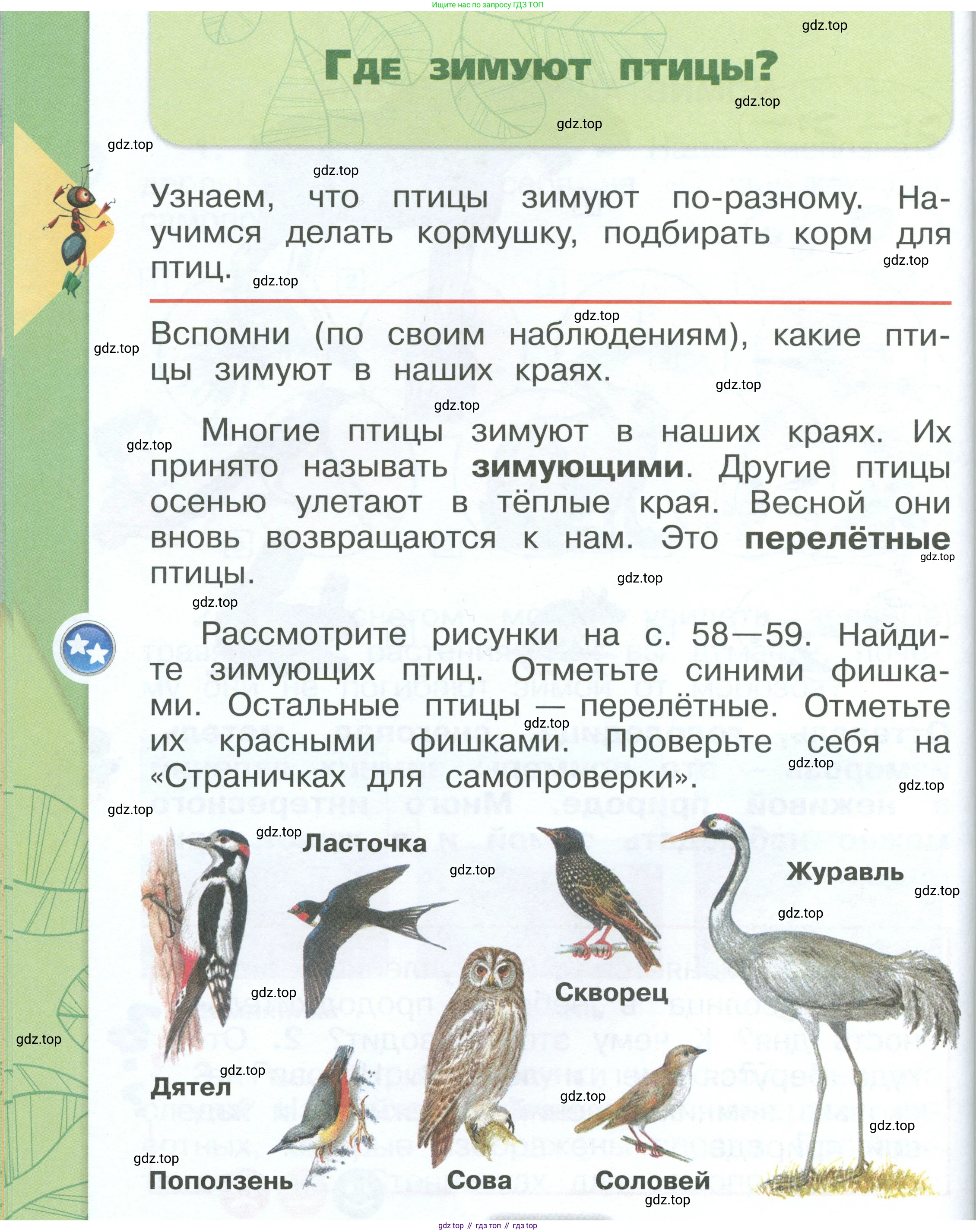 ГДЗ Окружающий мир, 1 класс Учебник, автор: Плешаков Андрей Анатольевич, издательство Просвещение, Москва, 2022, белого цвета, Часть 2, страница 58, Условие