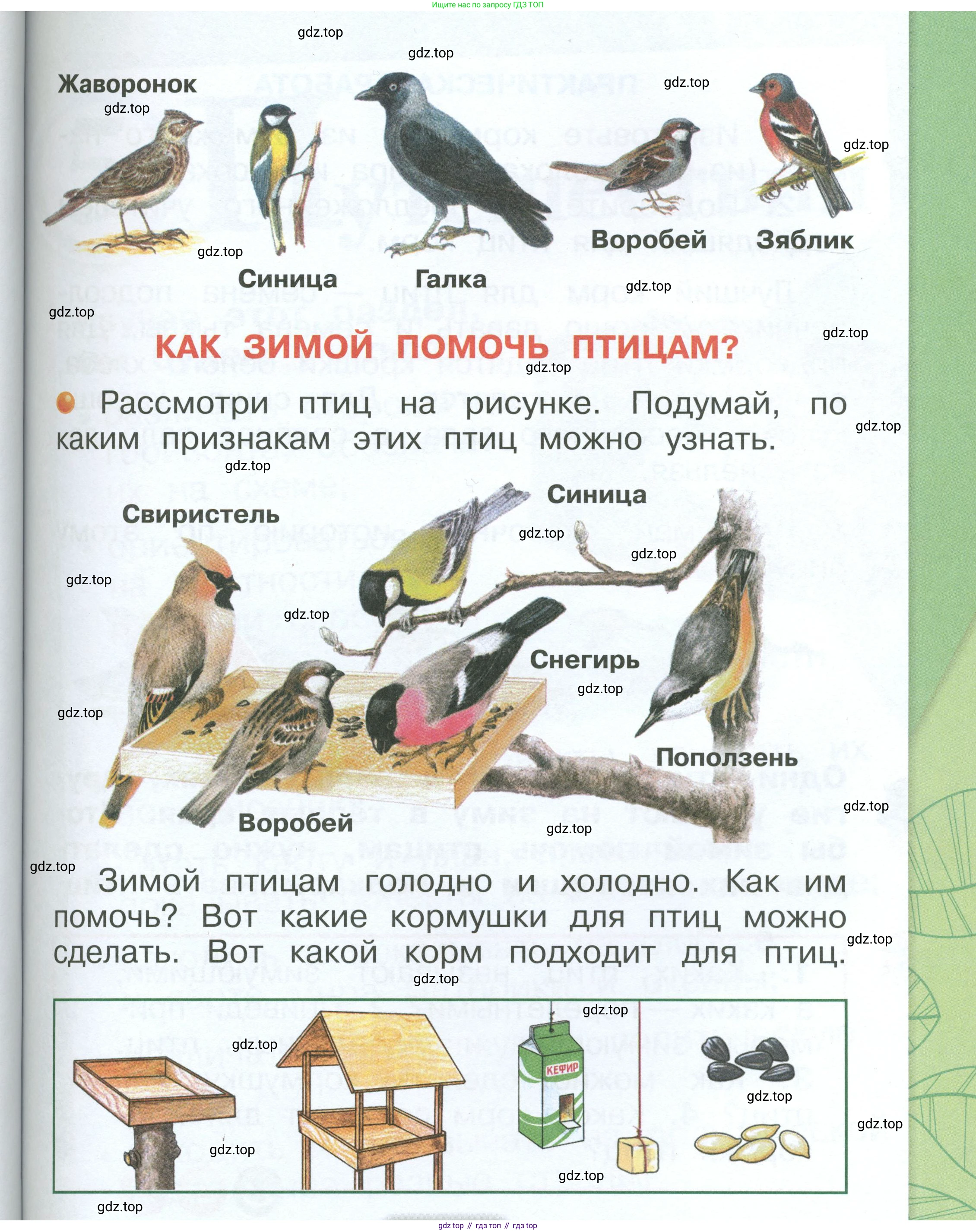 ГДЗ Окружающий мир, 1 класс Учебник, автор: Плешаков Андрей Анатольевич, издательство Просвещение, Москва, 2022, белого цвета, Часть 2, страница 59, Условие