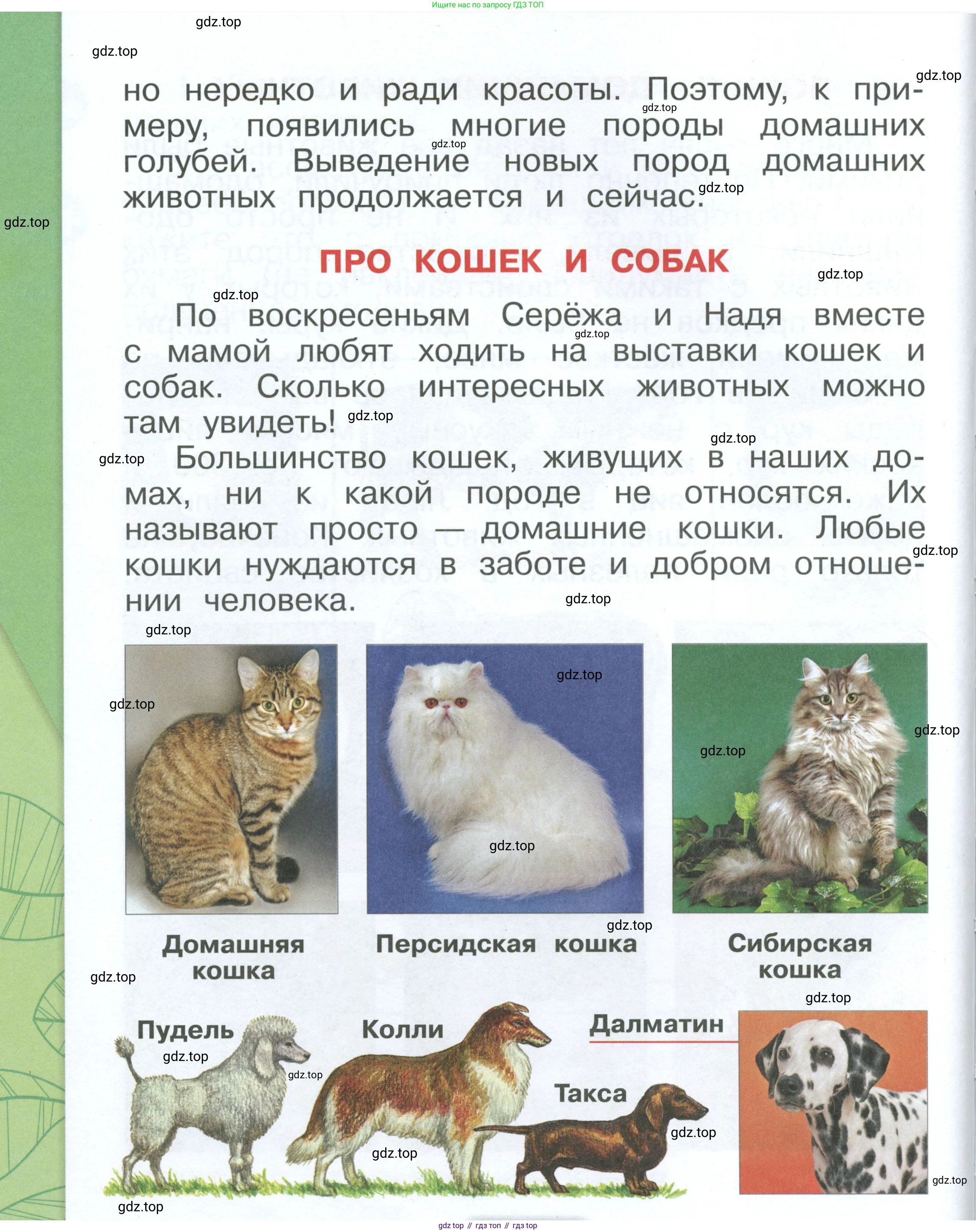 ГДЗ Окружающий мир, 1 класс Учебник, автор: Плешаков Андрей Анатольевич, издательство Просвещение, Москва, 2022, белого цвета, Часть 2, страница 6, Условие