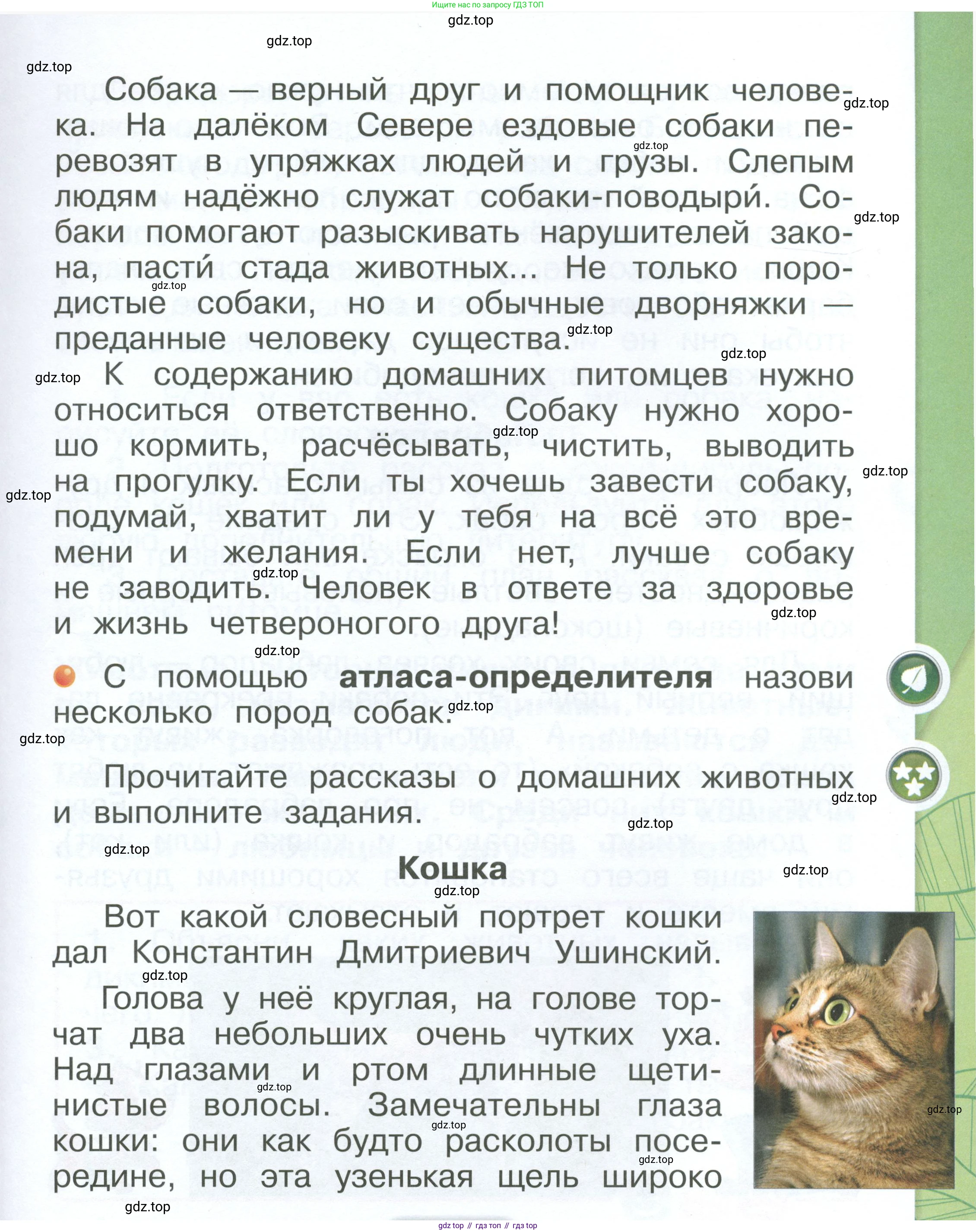 ГДЗ Окружающий мир, 1 класс Учебник, автор: Плешаков Андрей Анатольевич, издательство Просвещение, Москва, 2022, белого цвета, Часть 2, страница 7, Условие