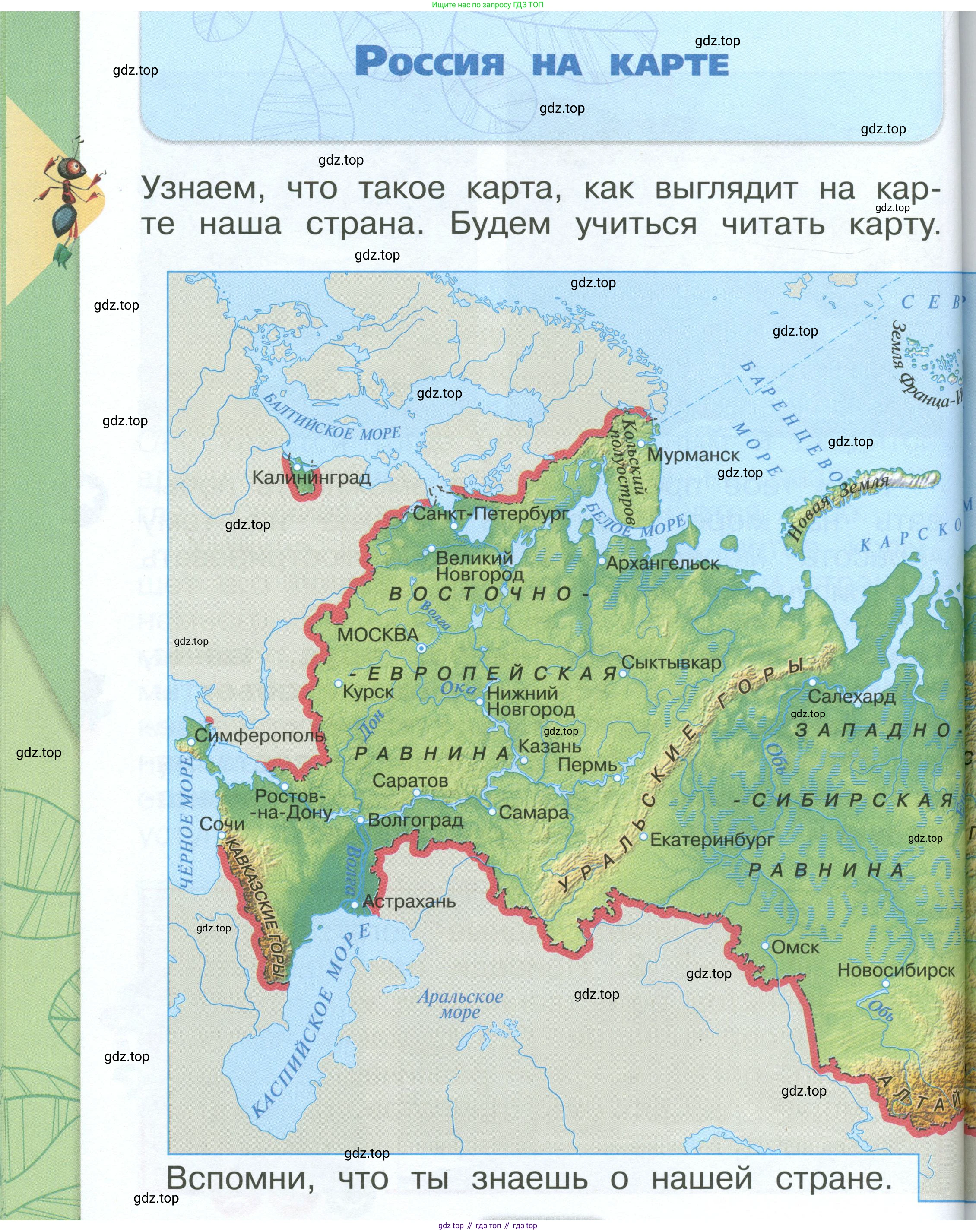 ГДЗ Окружающий мир, 1 класс Учебник, автор: Плешаков Андрей Анатольевич, издательство Просвещение, Москва, 2022, белого цвета, Часть 2, страница 84, Условие