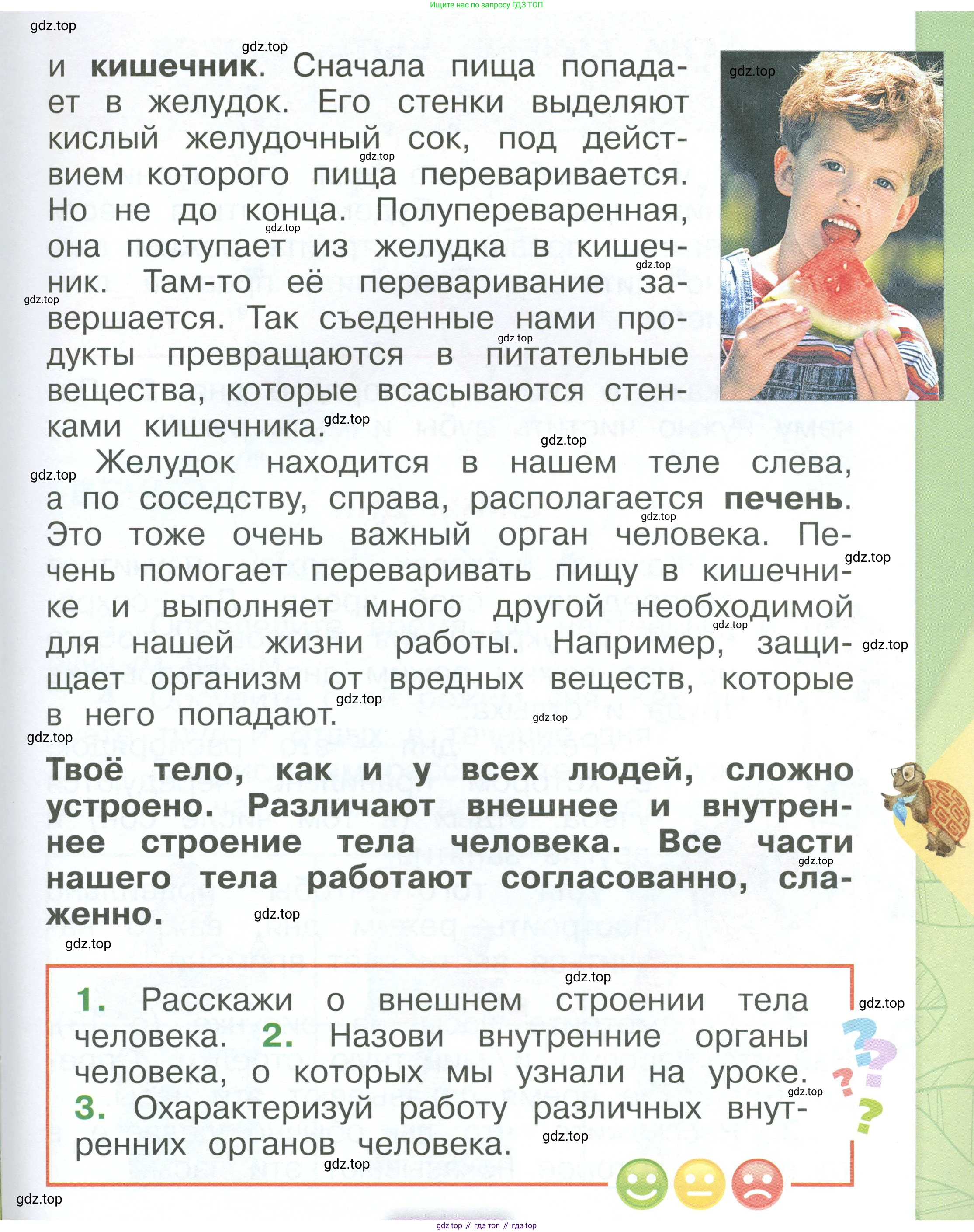 ГДЗ Окружающий мир, 1 класс Учебник, автор: Плешаков Андрей Анатольевич, издательство Просвещение, Москва, 2022, белого цвета, Часть 3, страница 11, Условие