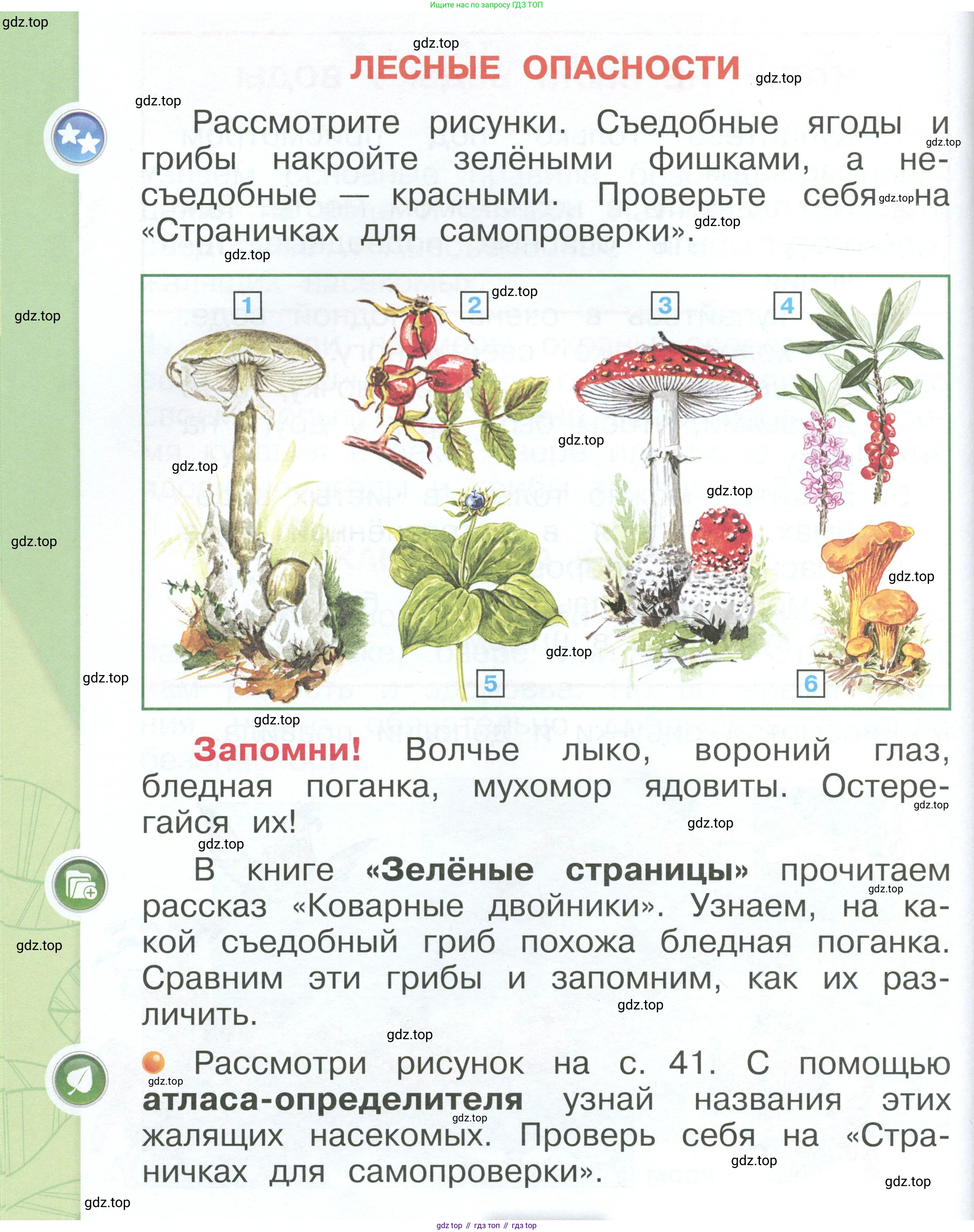 ГДЗ Окружающий мир, 1 класс Учебник, автор: Плешаков Андрей Анатольевич, издательство Просвещение, Москва, 2022, белого цвета, Часть 3, страница 40, Условие