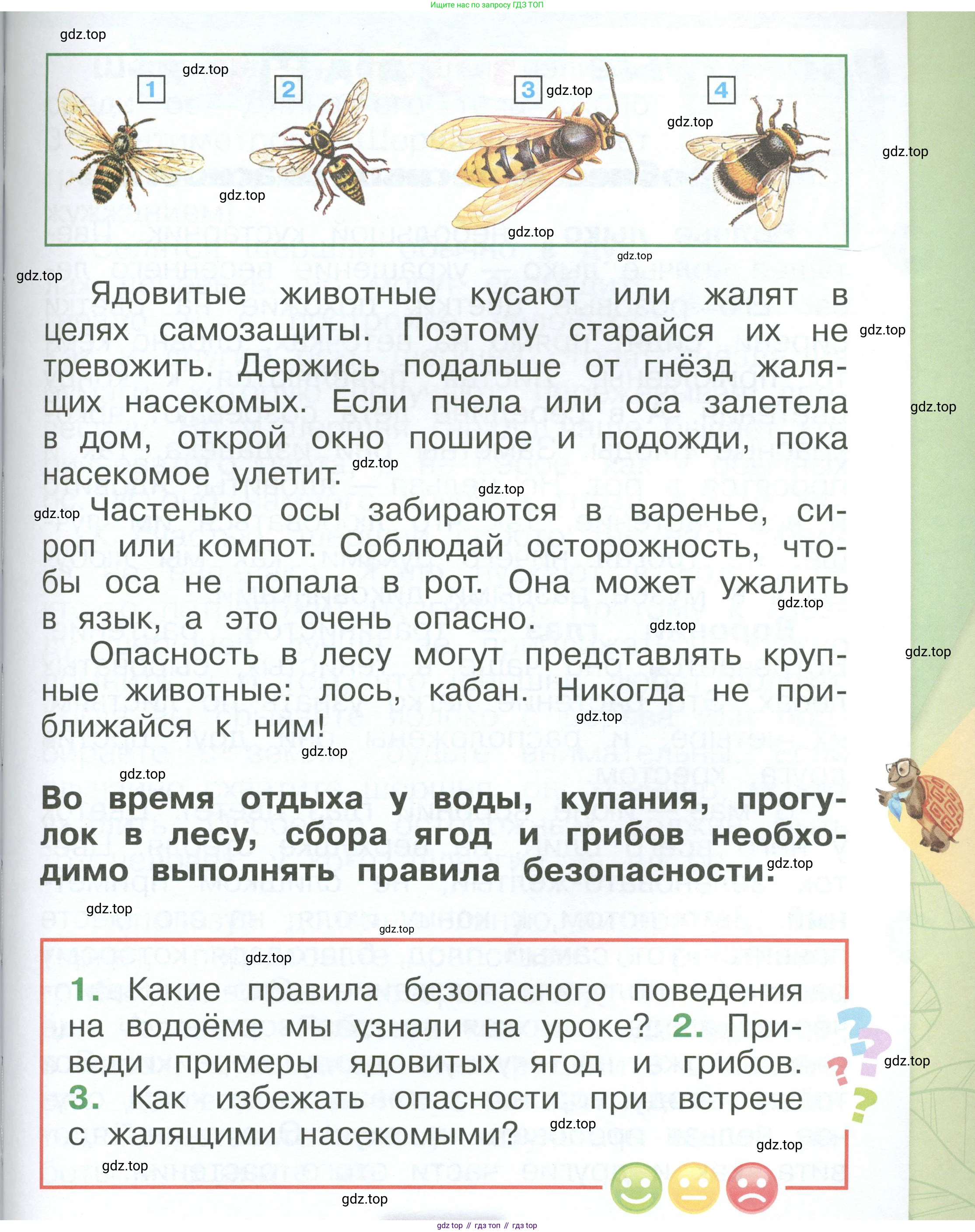 ГДЗ Окружающий мир, 1 класс Учебник, автор: Плешаков Андрей Анатольевич, издательство Просвещение, Москва, 2022, белого цвета, Часть 3, страница 41, Условие