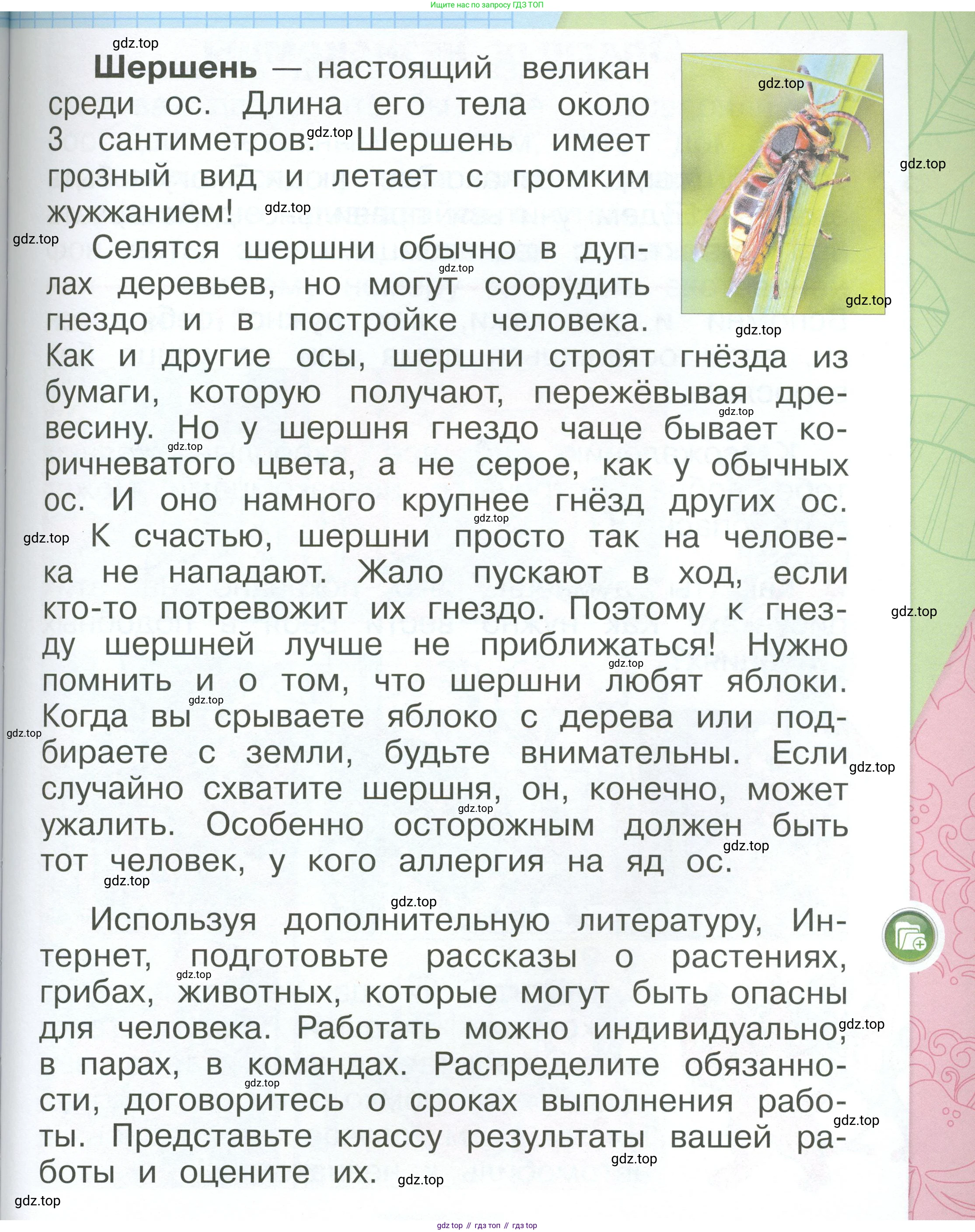 ГДЗ Окружающий мир, 1 класс Учебник, автор: Плешаков Андрей Анатольевич, издательство Просвещение, Москва, 2022, белого цвета, Часть 3, страница 43, Условие