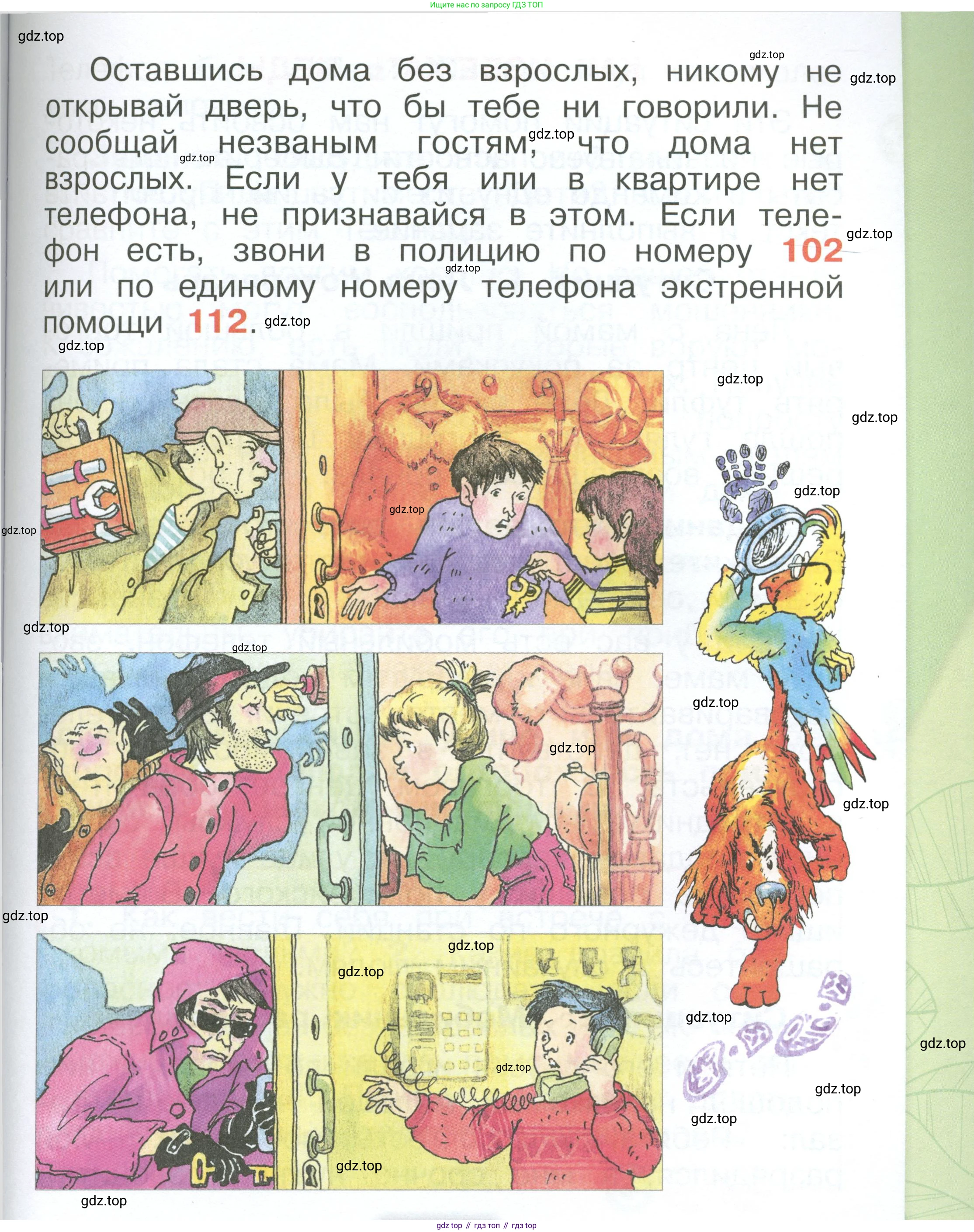 ГДЗ Окружающий мир, 1 класс Учебник, автор: Плешаков Андрей Анатольевич, издательство Просвещение, Москва, 2022, белого цвета, Часть 3, страница 45, Условие