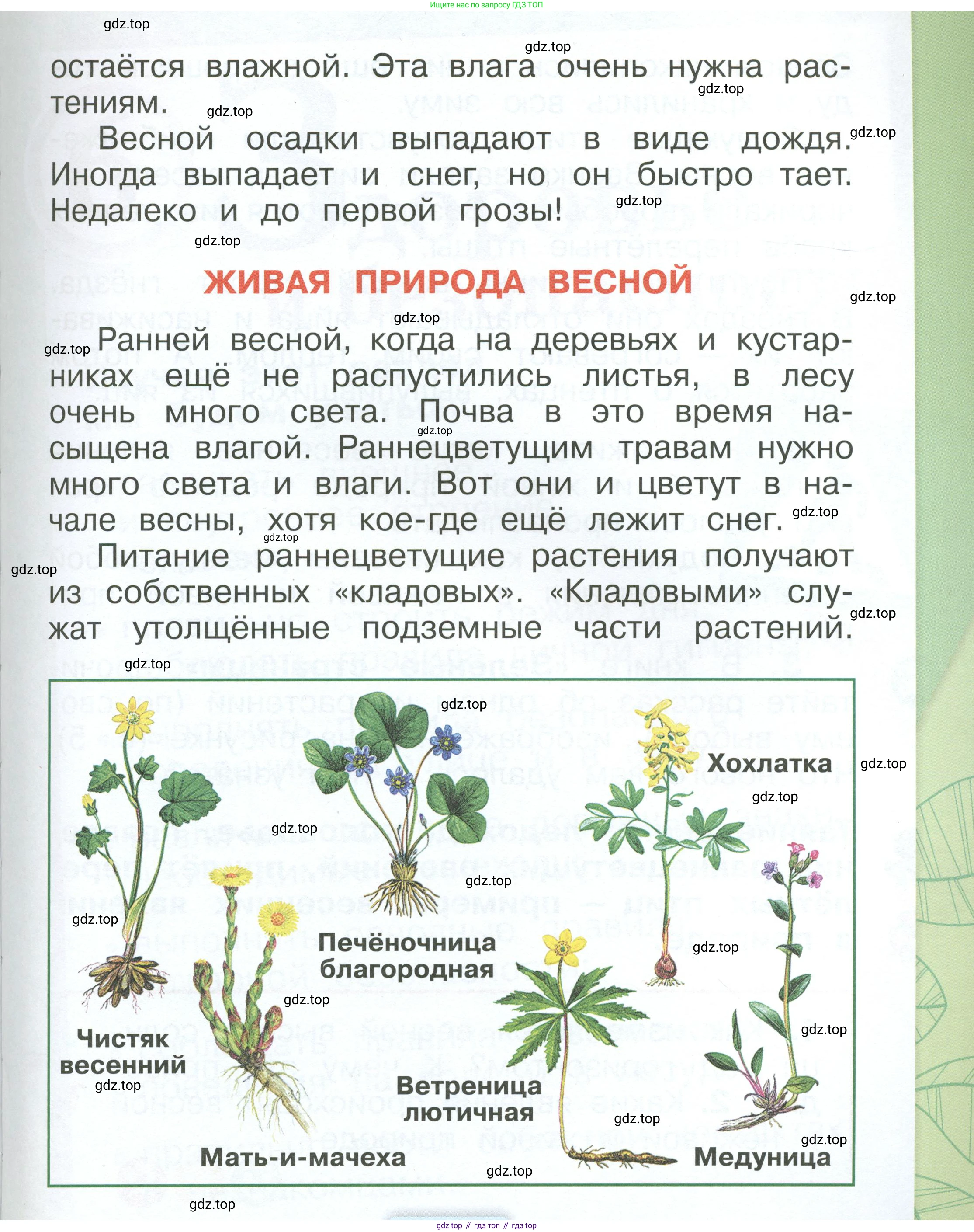ГДЗ Окружающий мир, 1 класс Учебник, автор: Плешаков Андрей Анатольевич, издательство Просвещение, Москва, 2022, белого цвета, Часть 3, страница 5, Условие