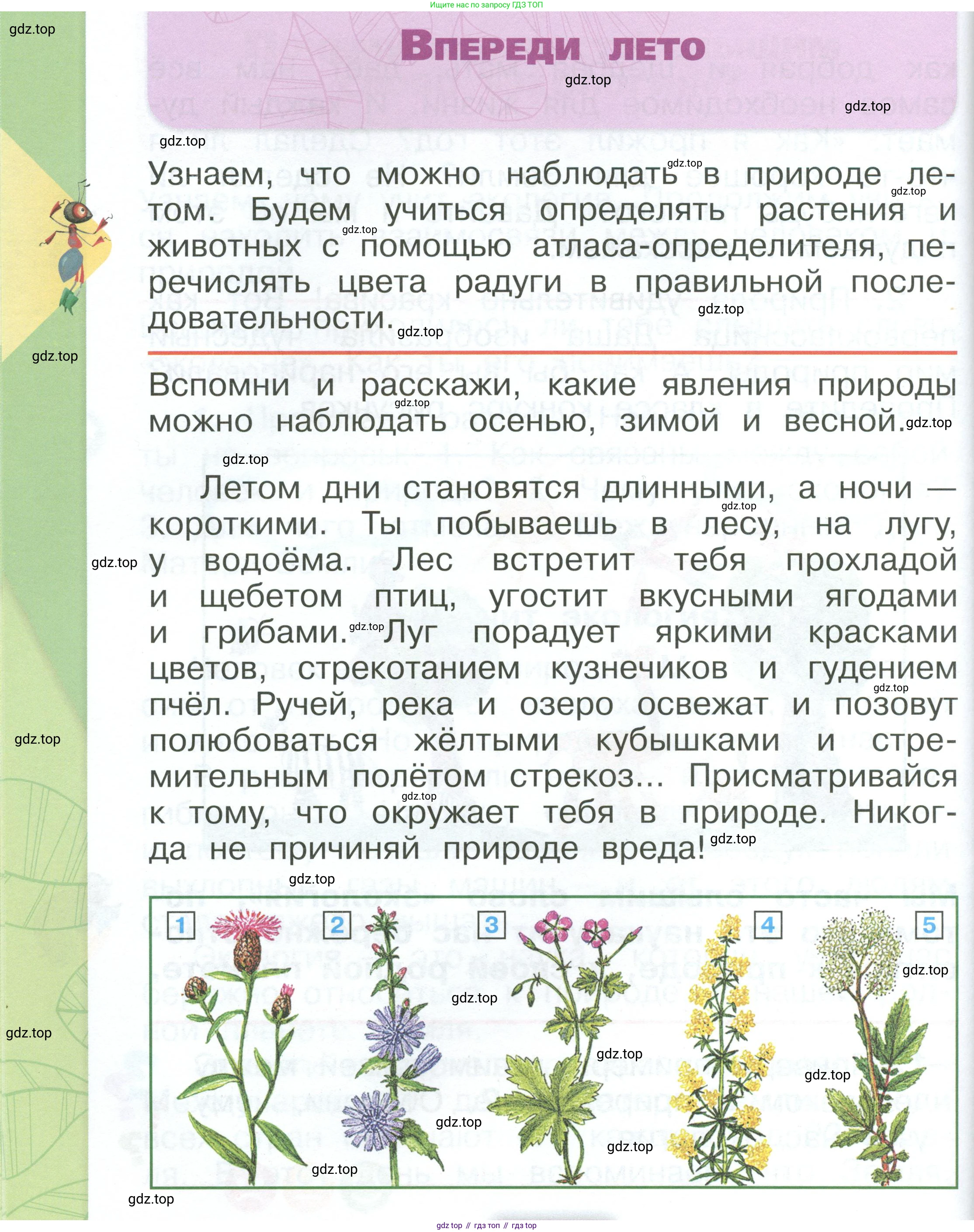 ГДЗ Окружающий мир, 1 класс Учебник, автор: Плешаков Андрей Анатольевич, издательство Просвещение, Москва, 2022, белого цвета, Часть 3, страница 50, Условие