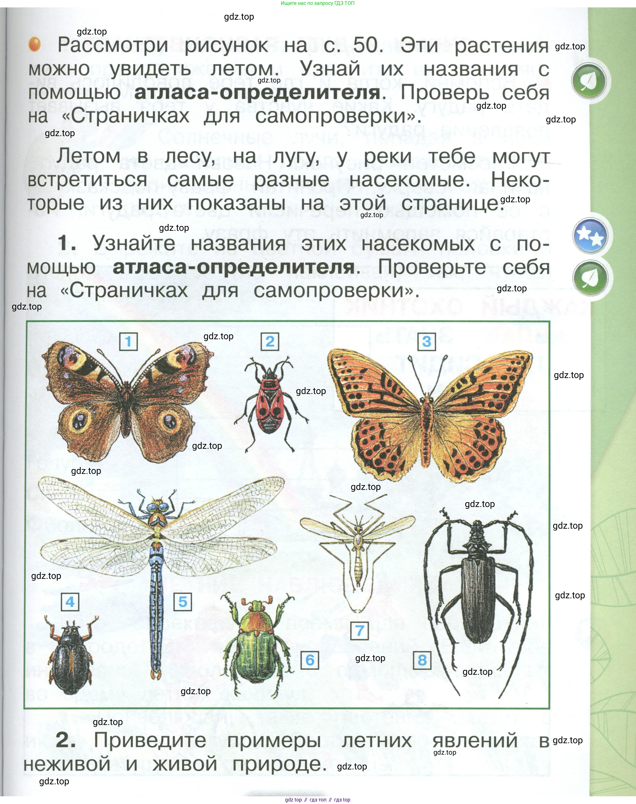 ГДЗ Окружающий мир, 1 класс Учебник, автор: Плешаков Андрей Анатольевич, издательство Просвещение, Москва, 2022, белого цвета, Часть 3, страница 51, Условие