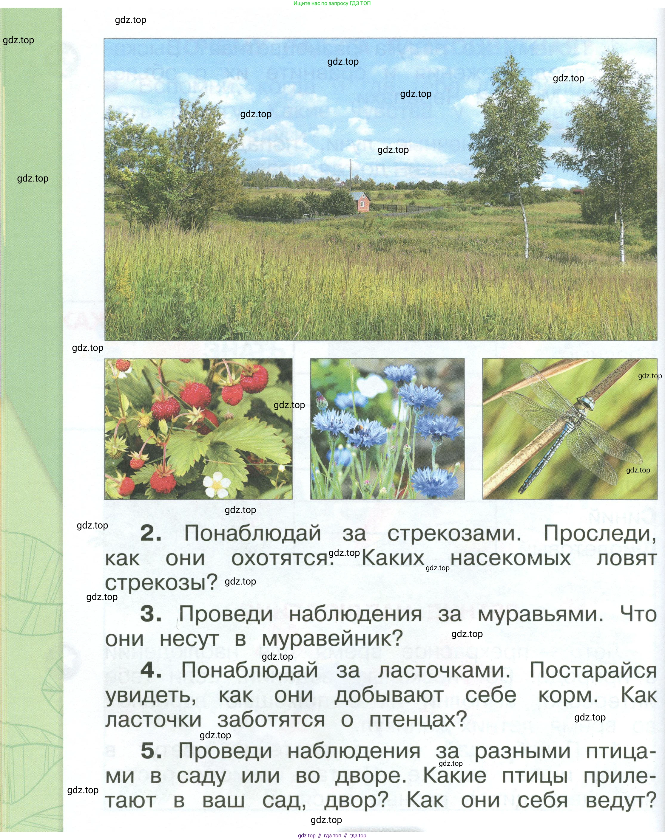 ГДЗ Окружающий мир, 1 класс Учебник, автор: Плешаков Андрей Анатольевич, издательство Просвещение, Москва, 2022, белого цвета, Часть 3, страница 54, Условие