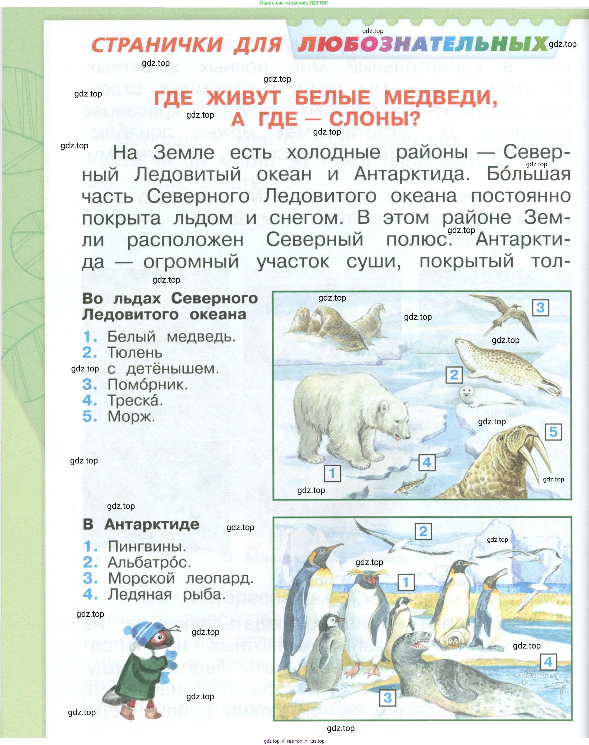 ГДЗ Окружающий мир, 1 класс Учебник, автор: Плешаков Андрей Анатольевич, издательство Просвещение, Москва, 2022, белого цвета, Часть 3, страница 58, Условие