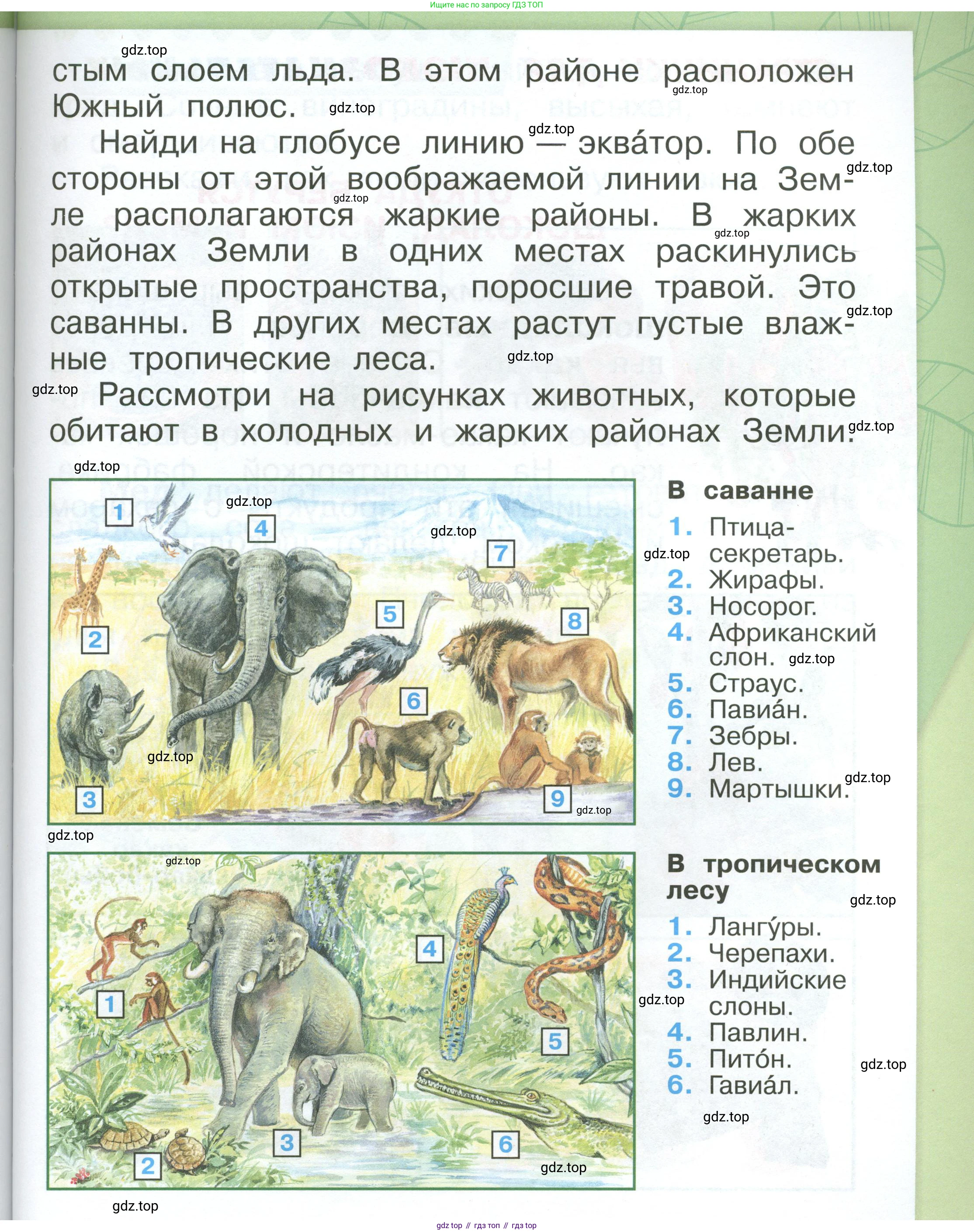 ГДЗ Окружающий мир, 1 класс Учебник, автор: Плешаков Андрей Анатольевич, издательство Просвещение, Москва, 2022, белого цвета, Часть 3, страница 59, Условие