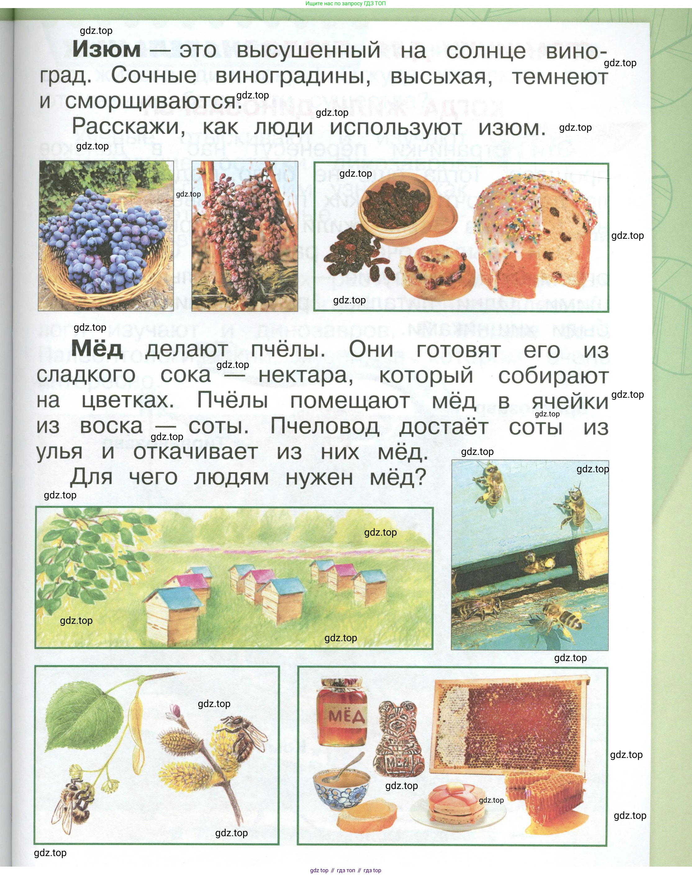 ГДЗ Окружающий мир, 1 класс Учебник, автор: Плешаков Андрей Анатольевич, издательство Просвещение, Москва, 2022, белого цвета, Часть 3, страница 61, Условие