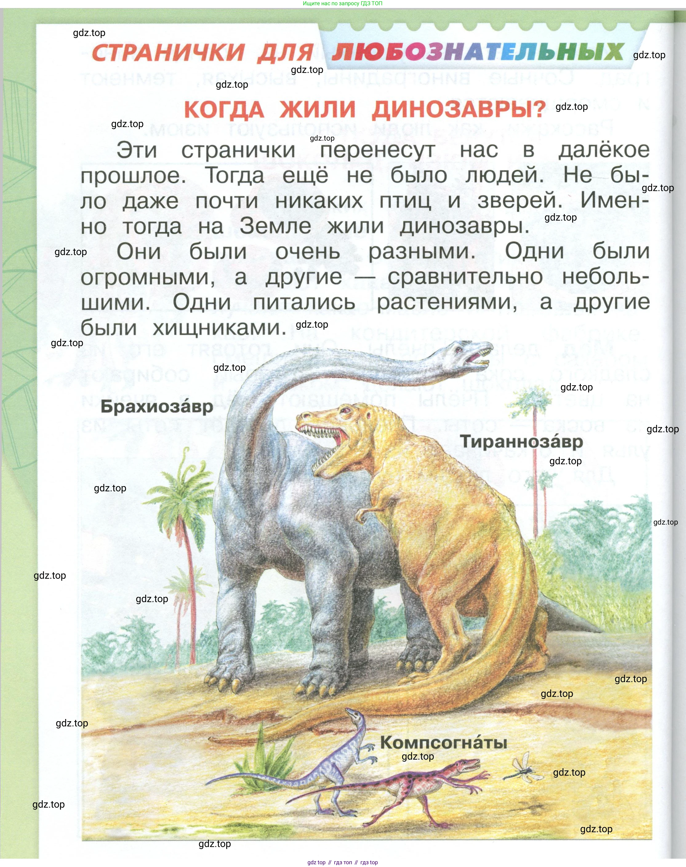 ГДЗ Окружающий мир, 1 класс Учебник, автор: Плешаков Андрей Анатольевич, издательство Просвещение, Москва, 2022, белого цвета, Часть 3, страница 62, Условие