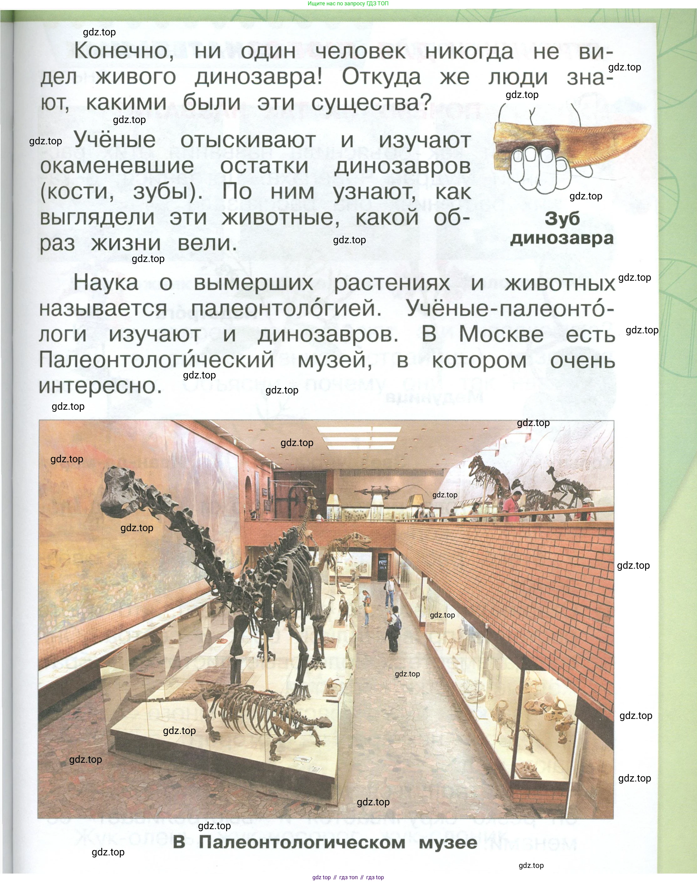 ГДЗ Окружающий мир, 1 класс Учебник, автор: Плешаков Андрей Анатольевич, издательство Просвещение, Москва, 2022, белого цвета, Часть 3, страница 63, Условие