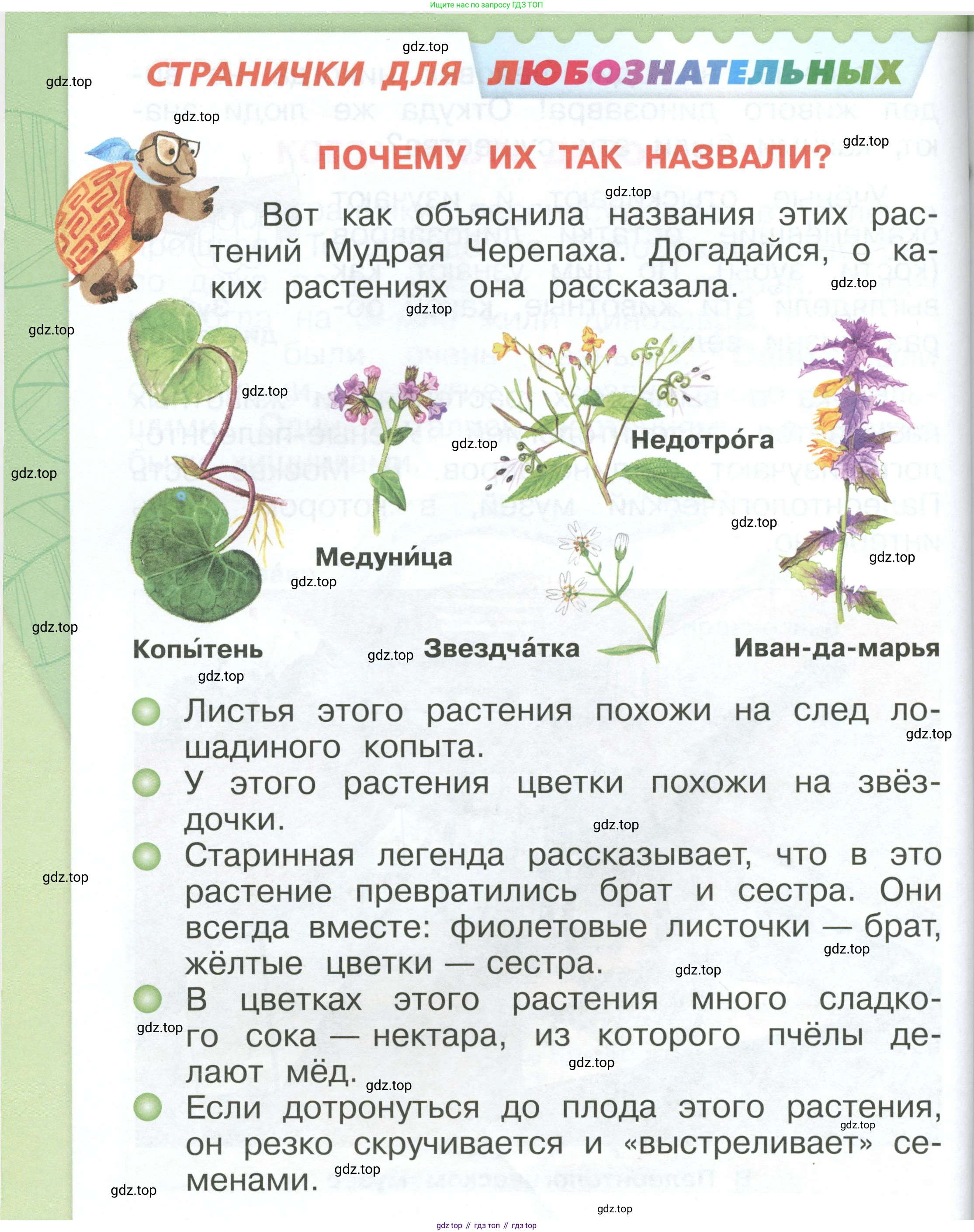 ГДЗ Окружающий мир, 1 класс Учебник, автор: Плешаков Андрей Анатольевич, издательство Просвещение, Москва, 2022, белого цвета, Часть 3, страница 64, Условие