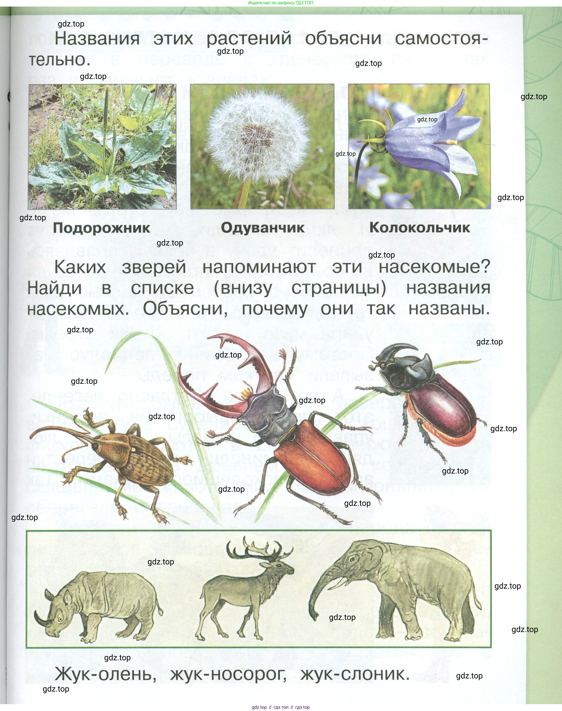 ГДЗ Окружающий мир, 1 класс Учебник, автор: Плешаков Андрей Анатольевич, издательство Просвещение, Москва, 2022, белого цвета, Часть 3, страница 65, Условие
