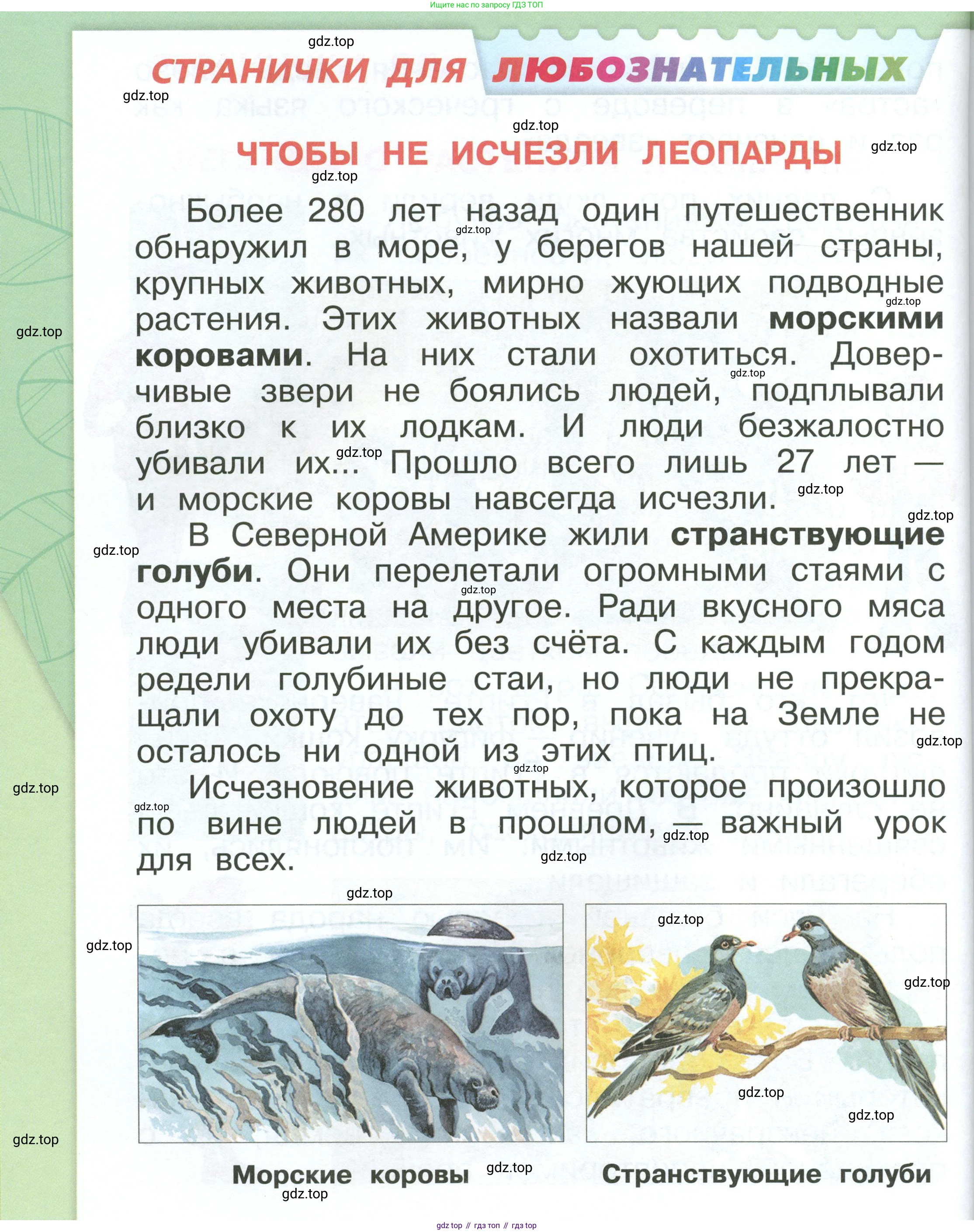 ГДЗ Окружающий мир, 1 класс Учебник, автор: Плешаков Андрей Анатольевич, издательство Просвещение, Москва, 2022, белого цвета, Часть 3, страница 68, Условие