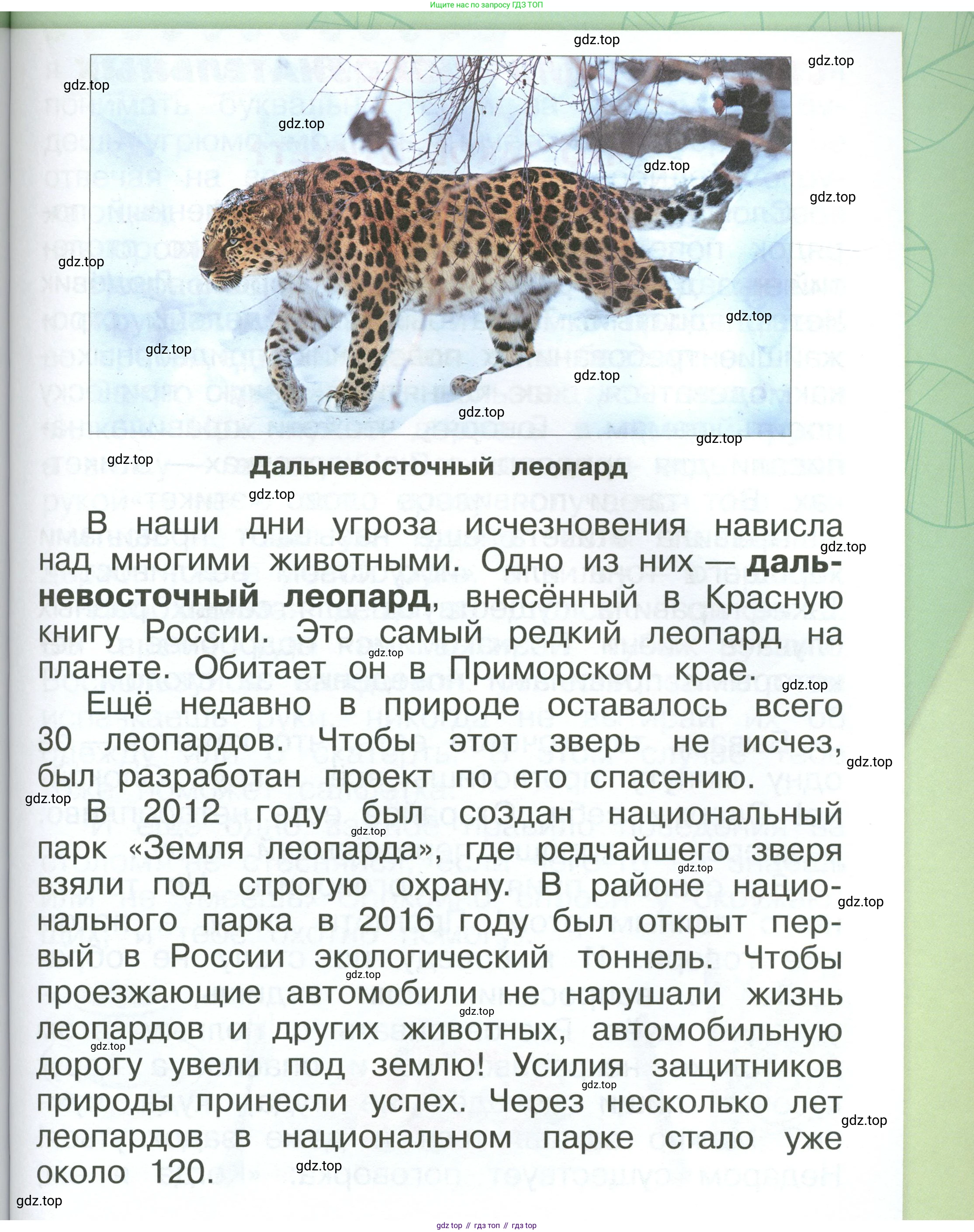 ГДЗ Окружающий мир, 1 класс Учебник, автор: Плешаков Андрей Анатольевич, издательство Просвещение, Москва, 2022, белого цвета, Часть 3, страница 69, Условие