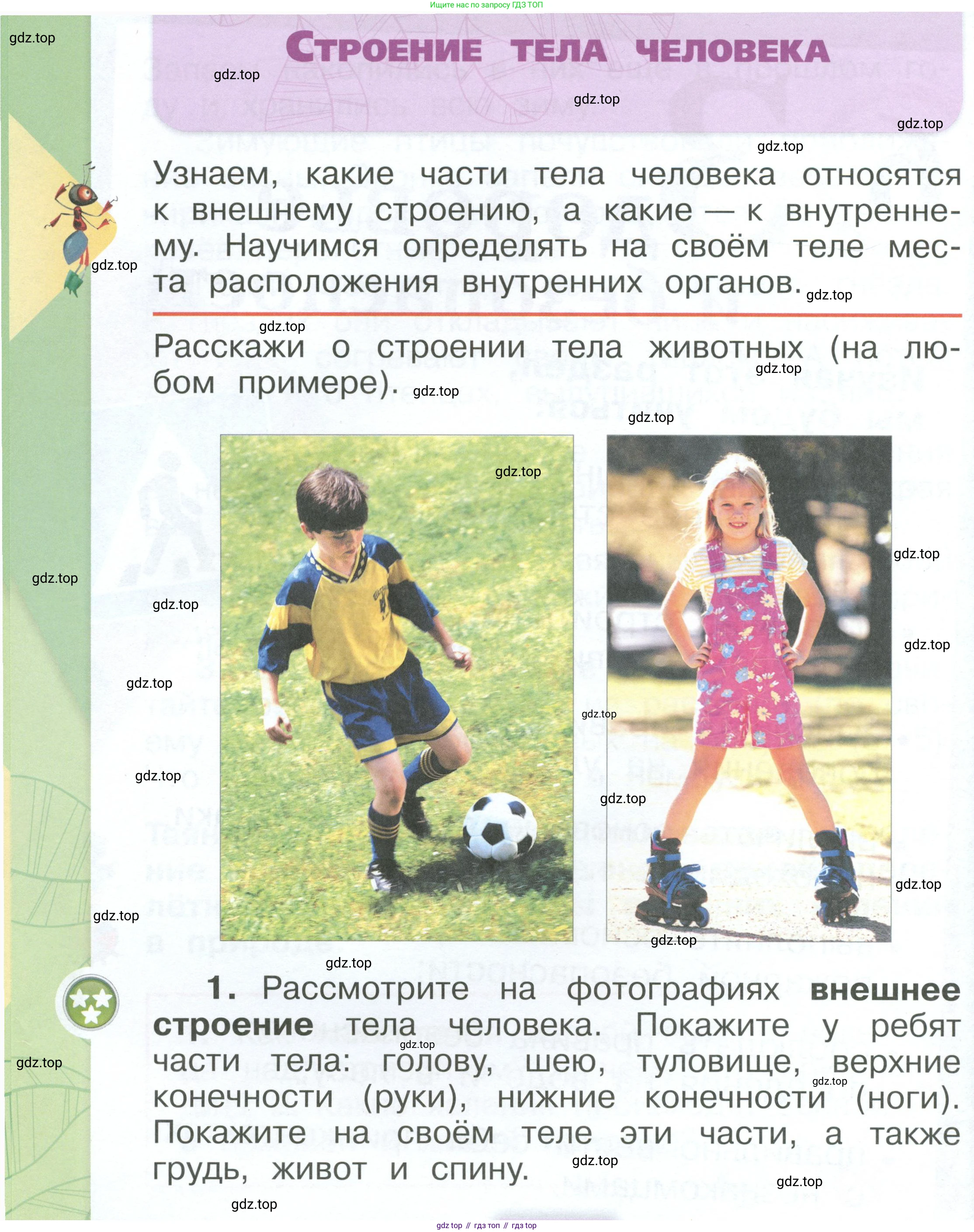 ГДЗ Окружающий мир, 1 класс Учебник, автор: Плешаков Андрей Анатольевич, издательство Просвещение, Москва, 2022, белого цвета, Часть 3, страница 8, Условие