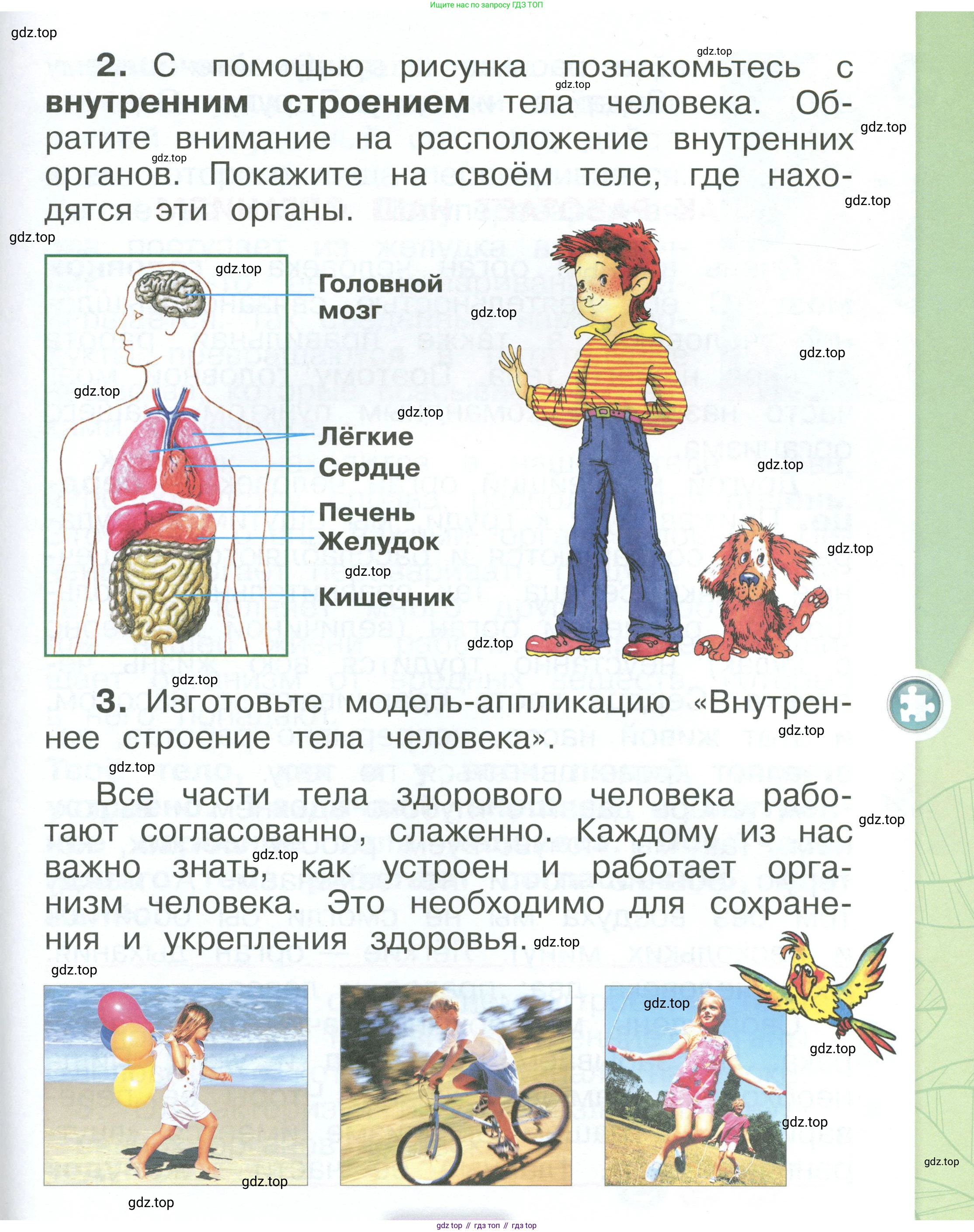 ГДЗ Окружающий мир, 1 класс Учебник, автор: Плешаков Андрей Анатольевич, издательство Просвещение, Москва, 2022, белого цвета, Часть 3, страница 9, Условие