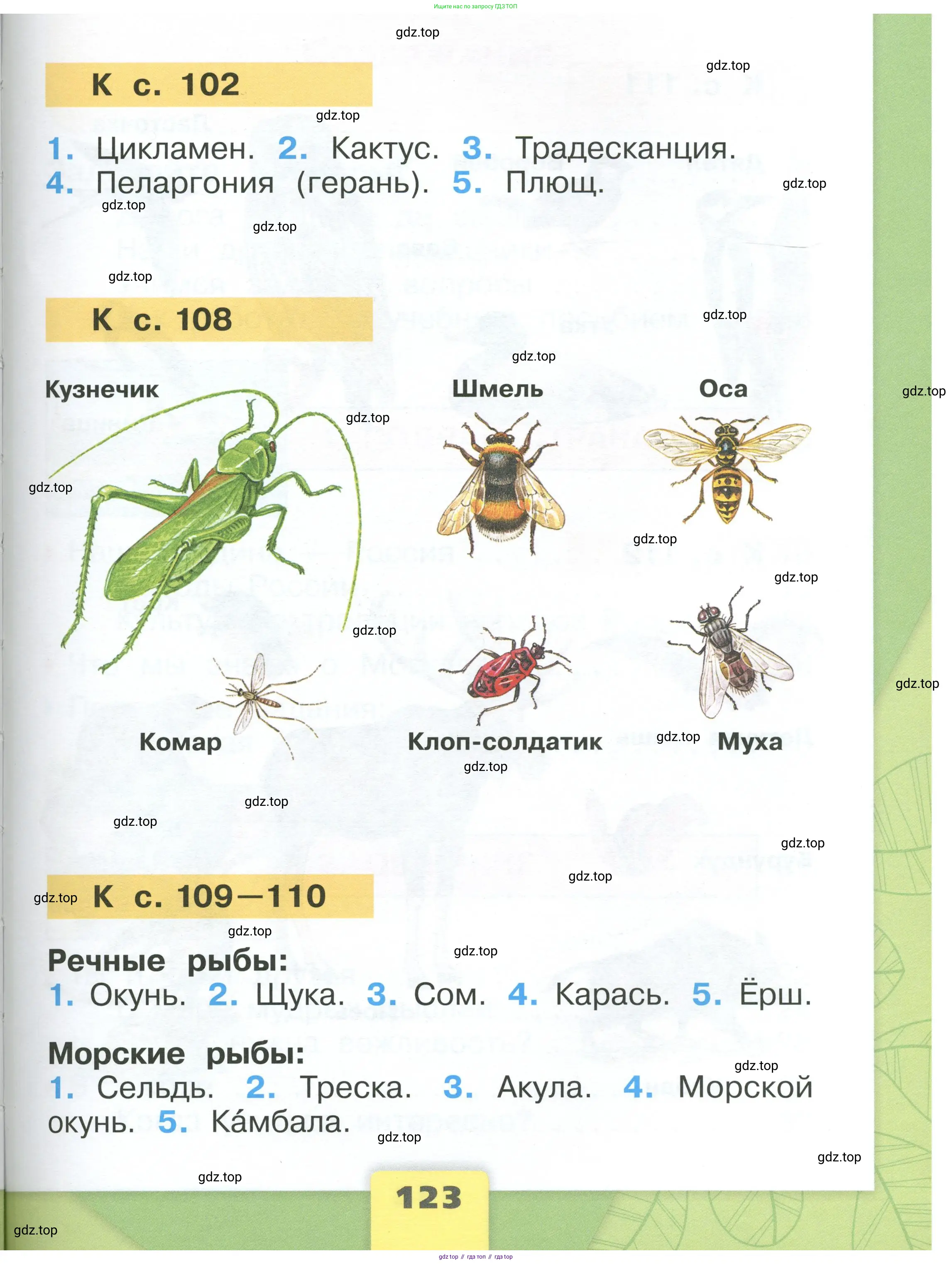 Окружающий мир, 1 класс Учебник, автор: Плешаков Андрей Анатольевич, издательство Просвещение, Москва, 2022, белого цвета, страница 123