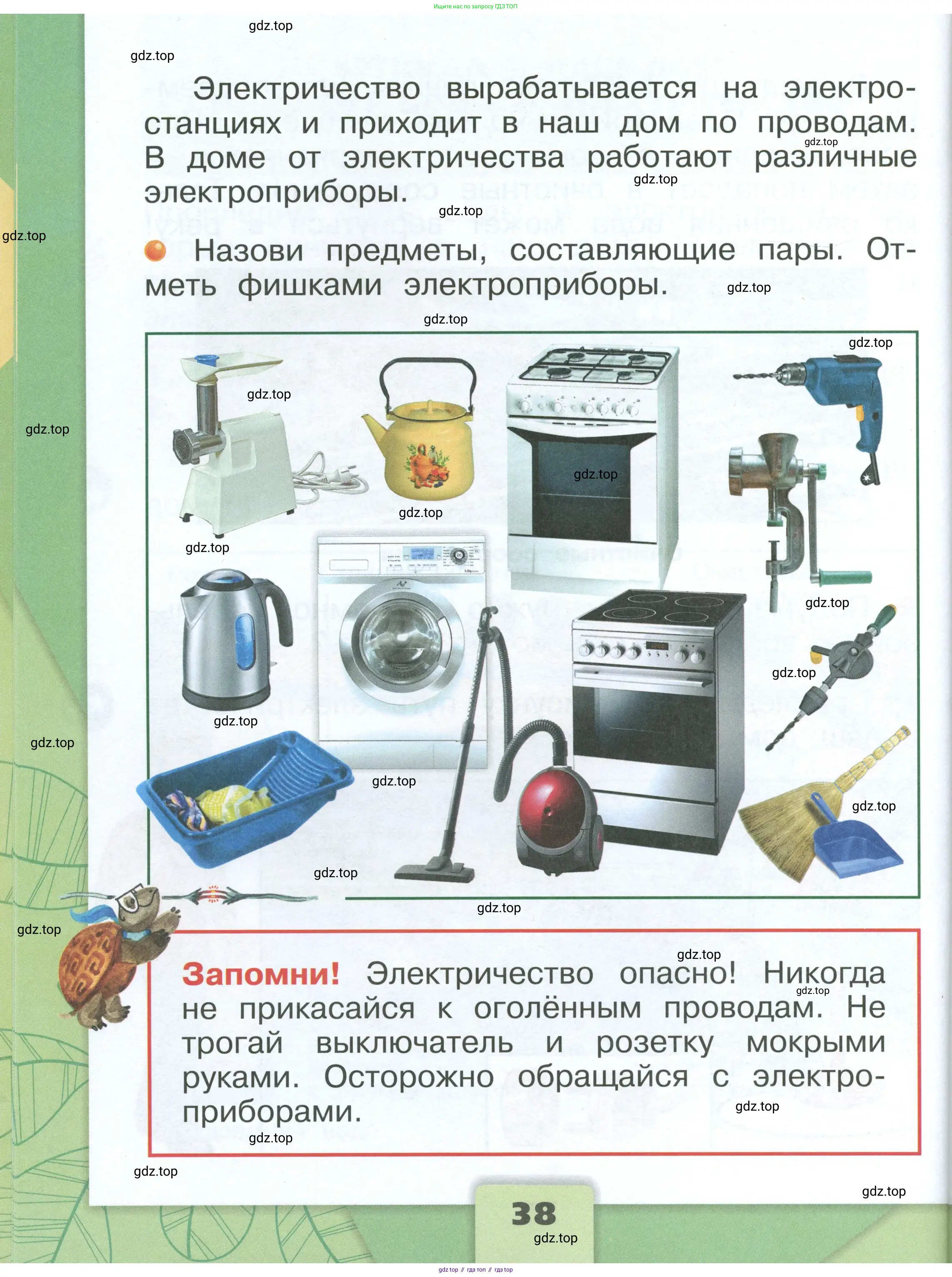 Окружающий мир, 1 класс Учебник, автор: Плешаков Андрей Анатольевич, издательство Просвещение, Москва, 2022, белого цвета, Часть 1, страница 38