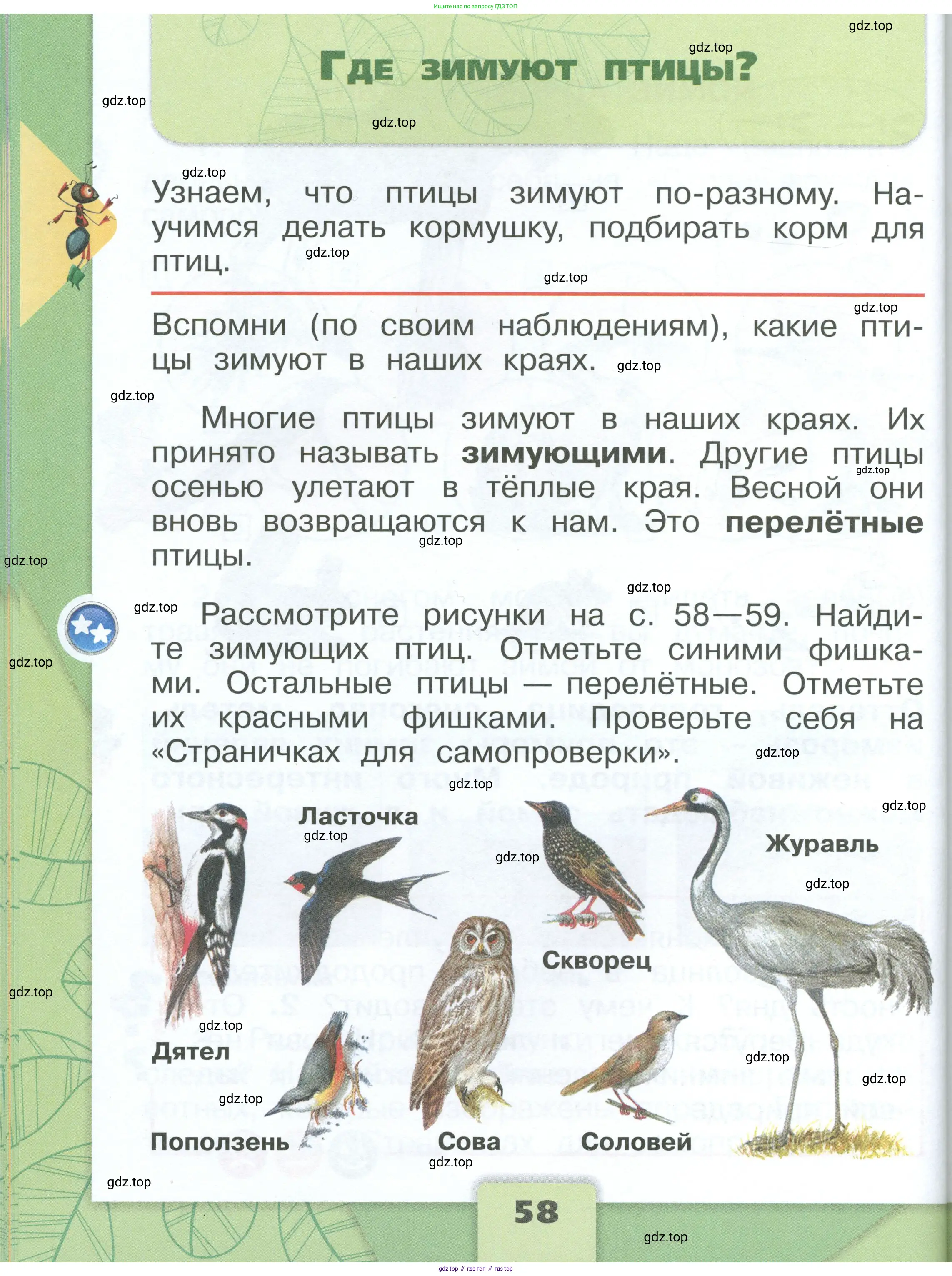 Окружающий мир, 1 класс Учебник, автор: Плешаков Андрей Анатольевич, издательство Просвещение, Москва, 2022, белого цвета, Часть 1, страница 58